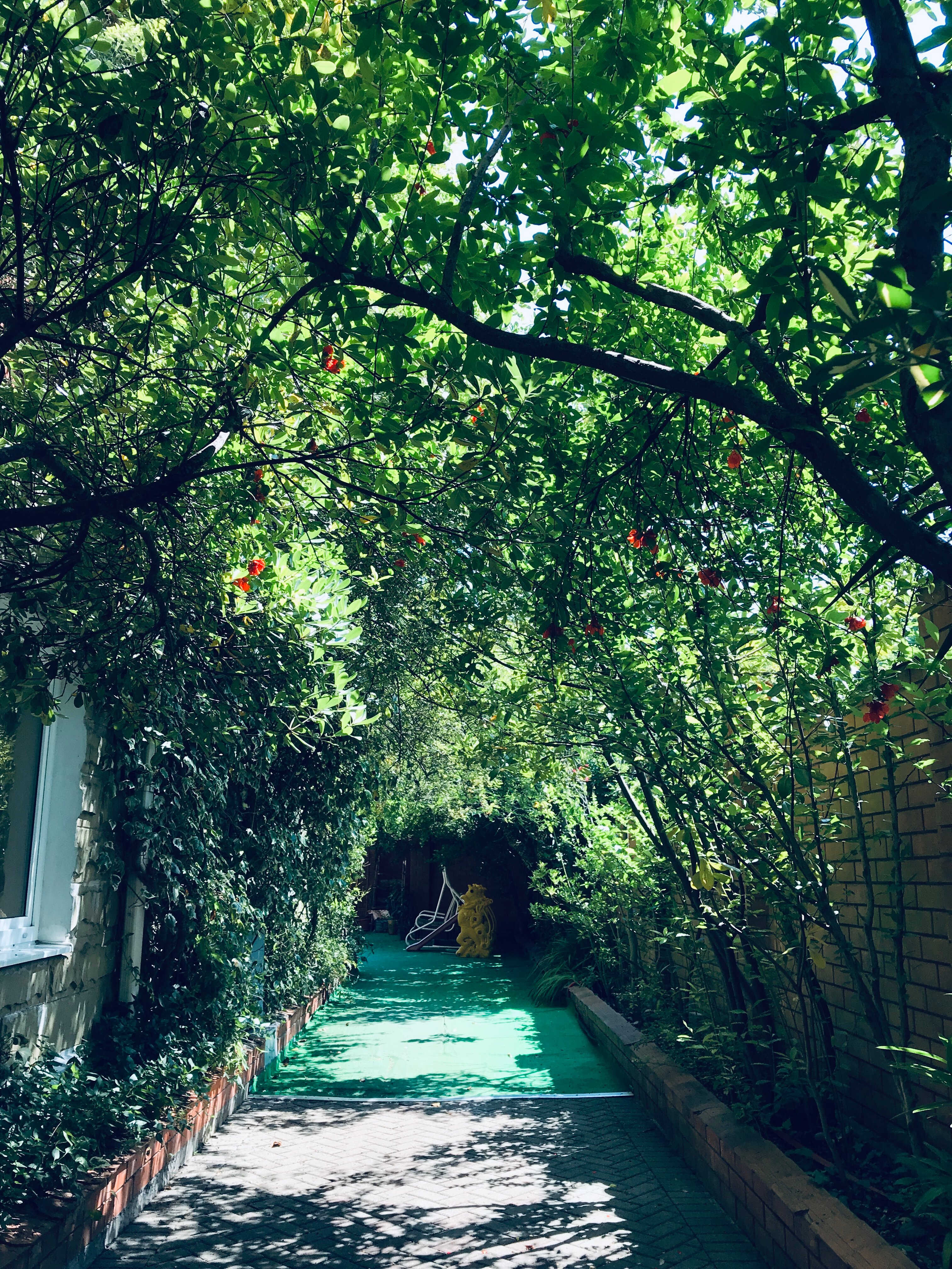 Фото У Моря