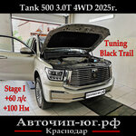 Avtochip-yug.ru (Aerodrome Street, 109), estudio de tuning