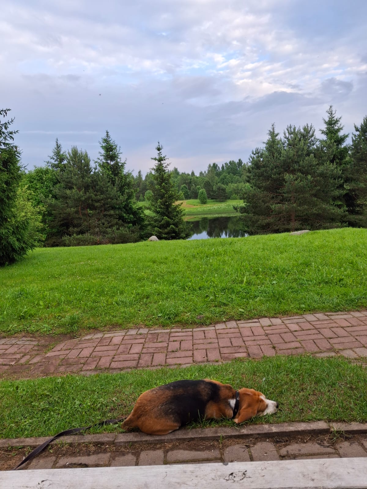 Фото Ерёмина гора