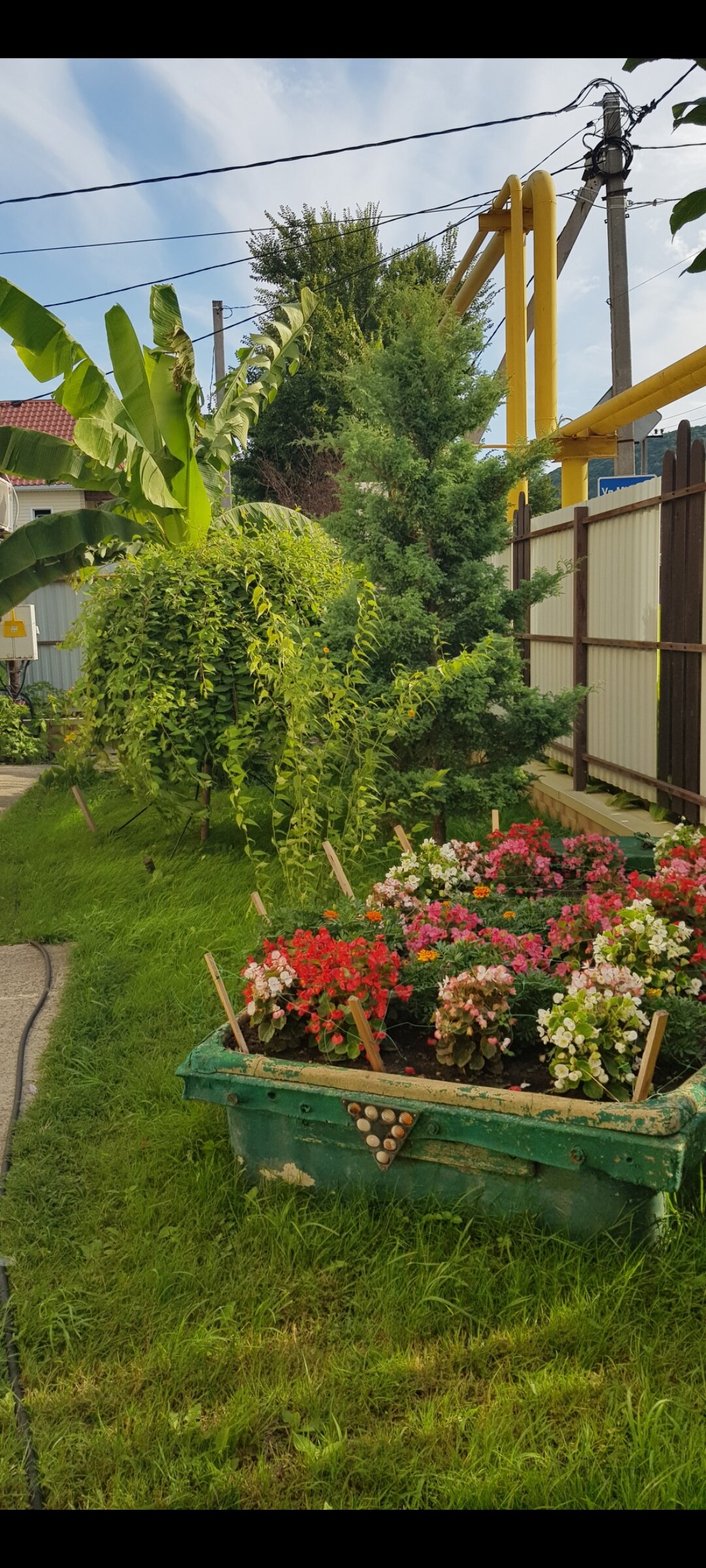 Фото Рандеву