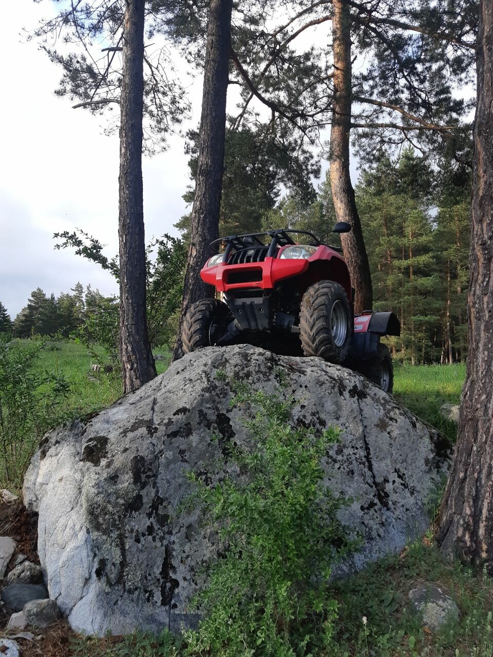 Фото Why Not Relax