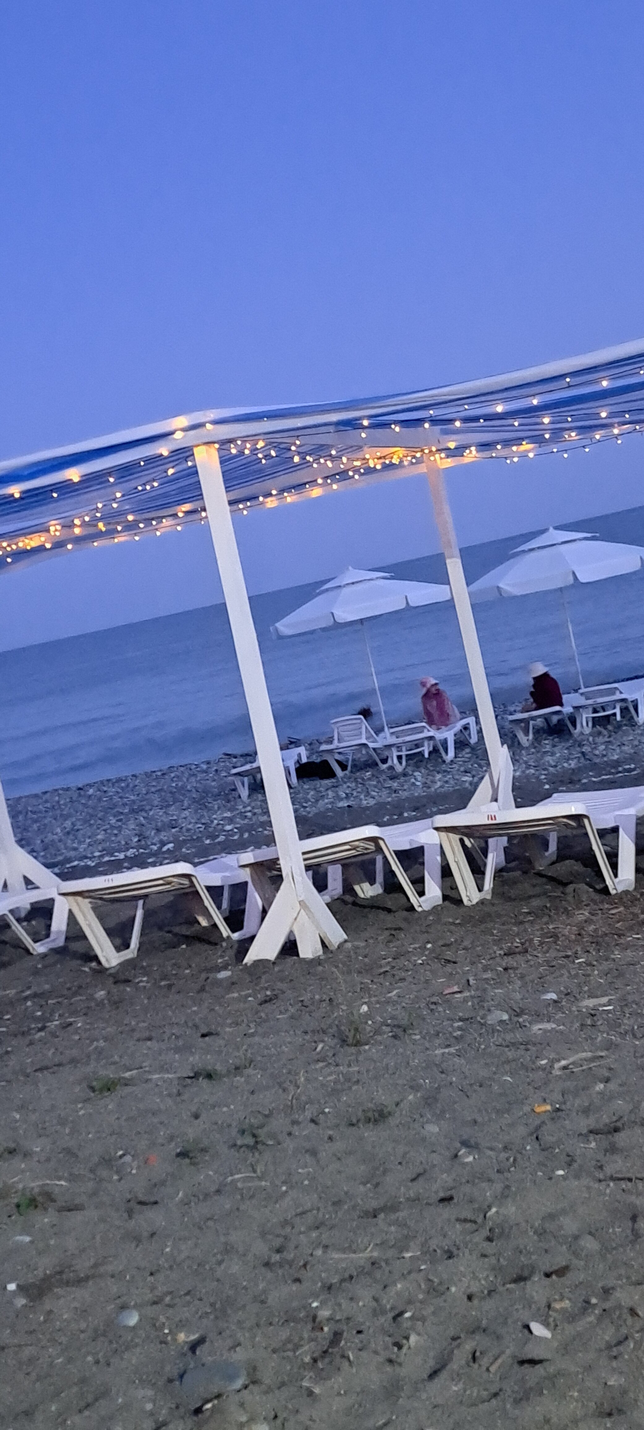 Фото Сингер