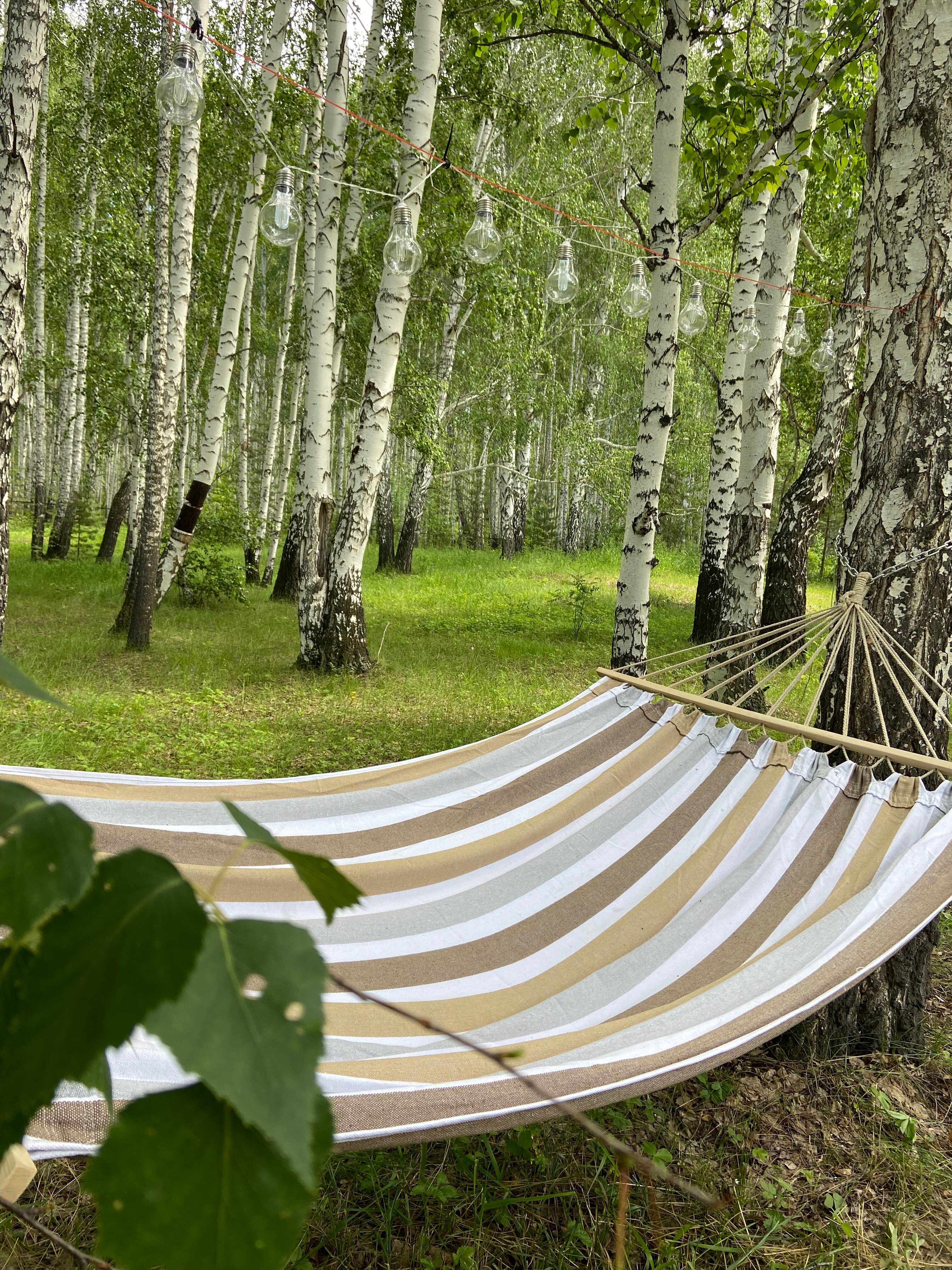 Фото Тихие зори