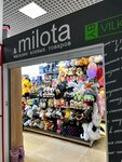 Milota (ulitsa Ordzhonikidze, 18), juguetes y juegos para niños