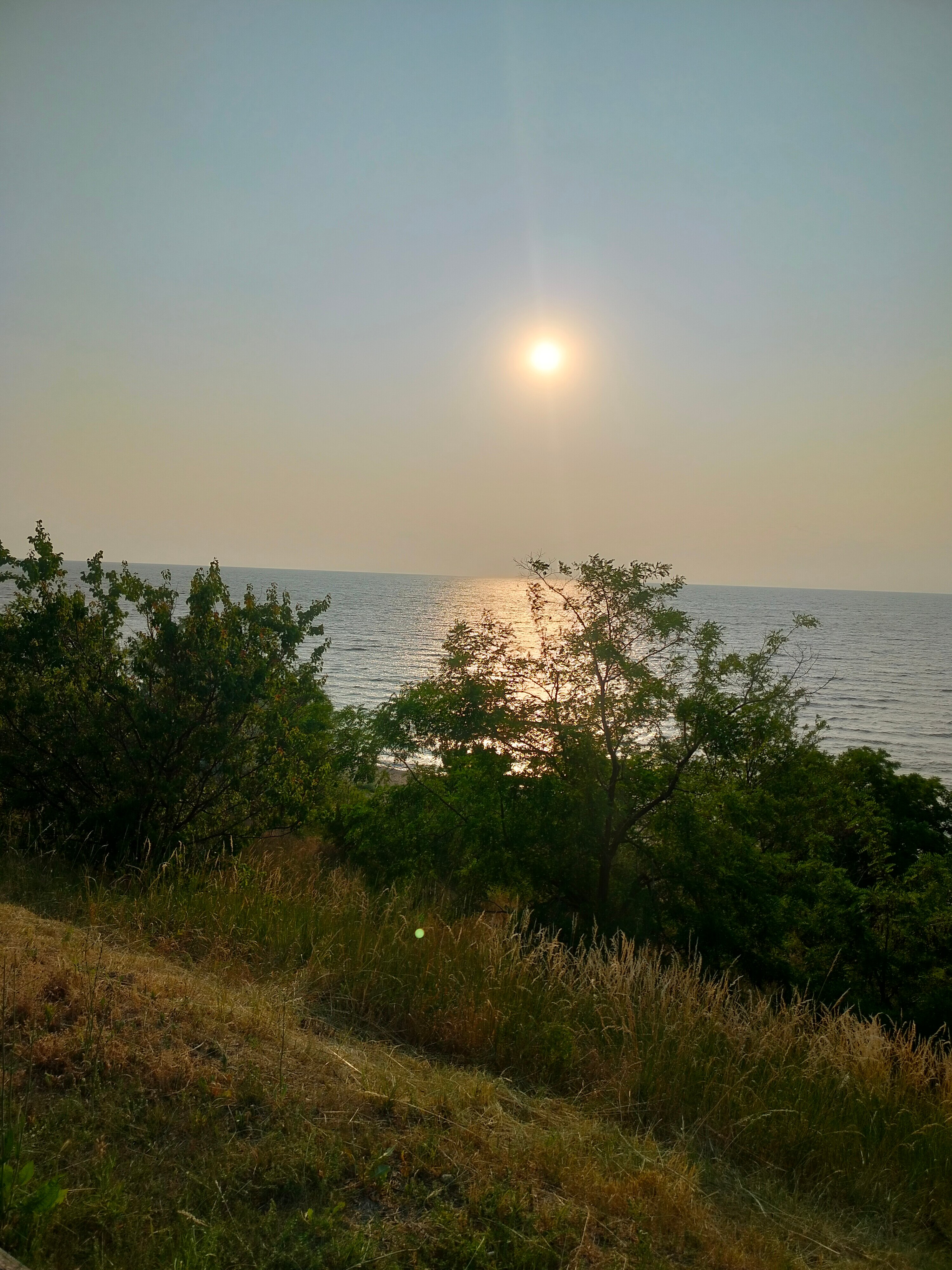 Фото Александровский сад у моря