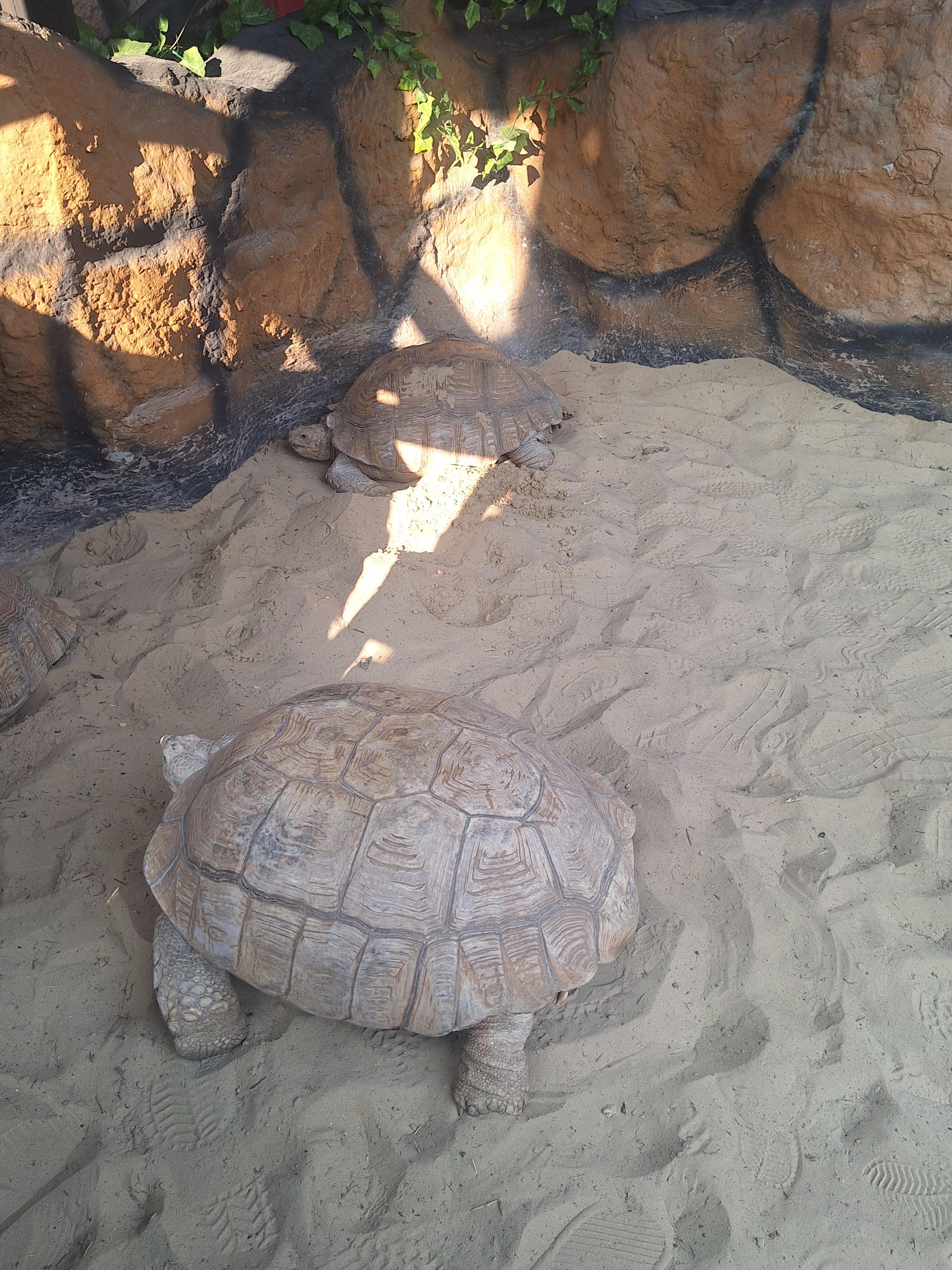 Фото Вилла МарМари