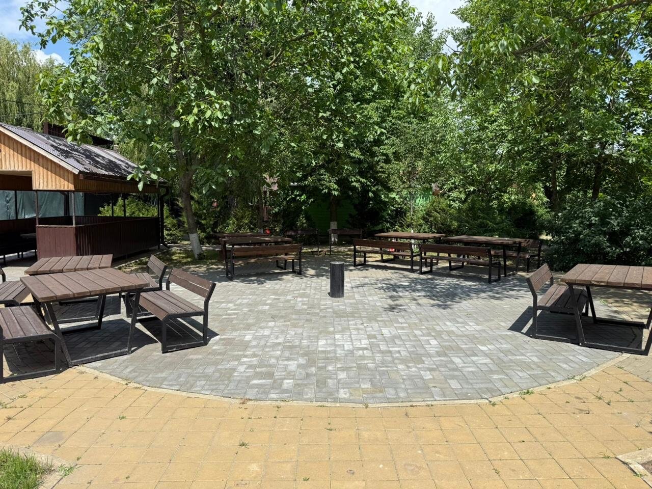 Фото Iva тенистая