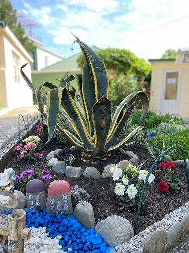 Гостиница Agave в Судаке
