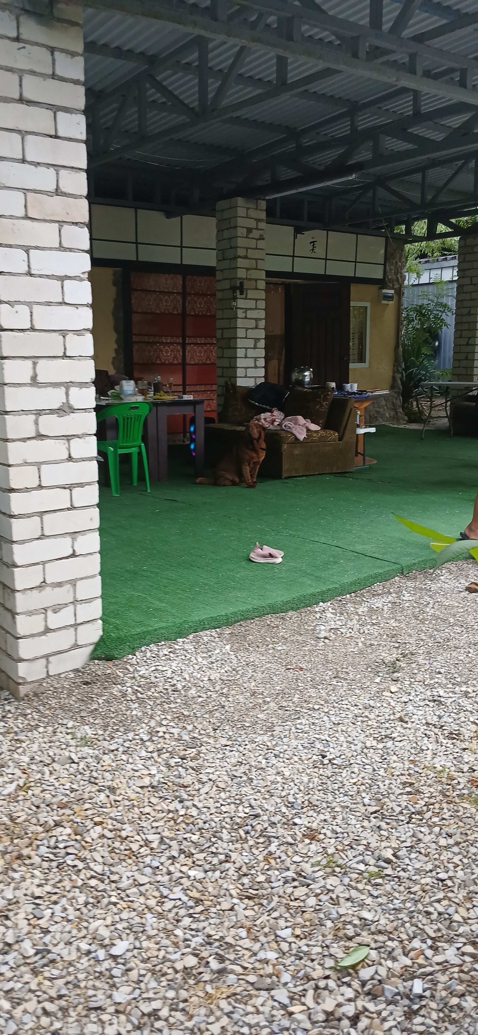 Фото Светлана