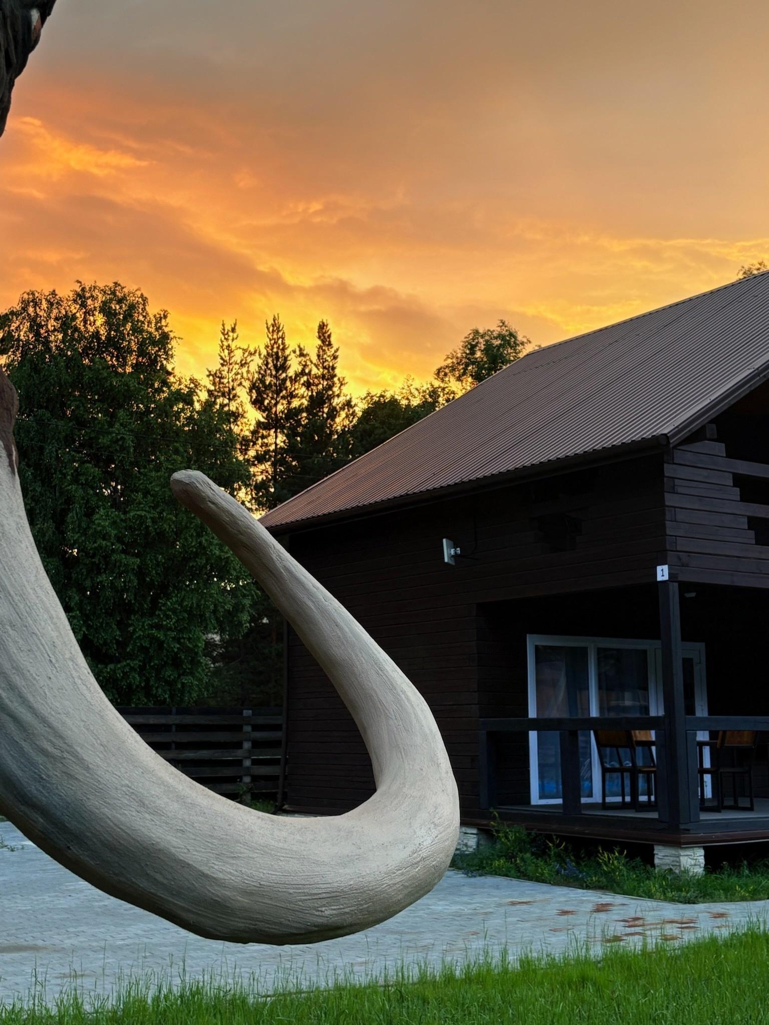 Фото отеля 1