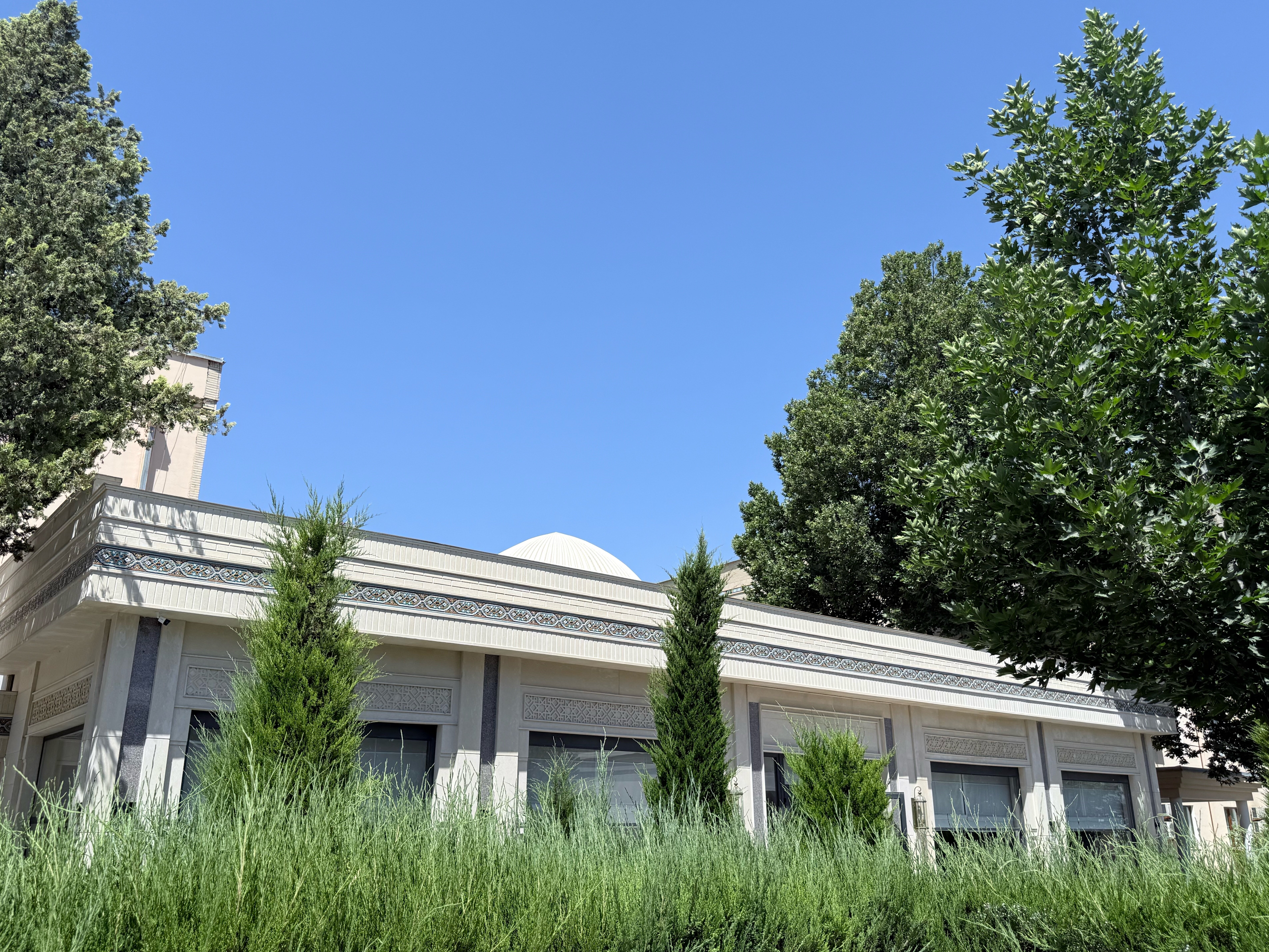 Фото Orient Star