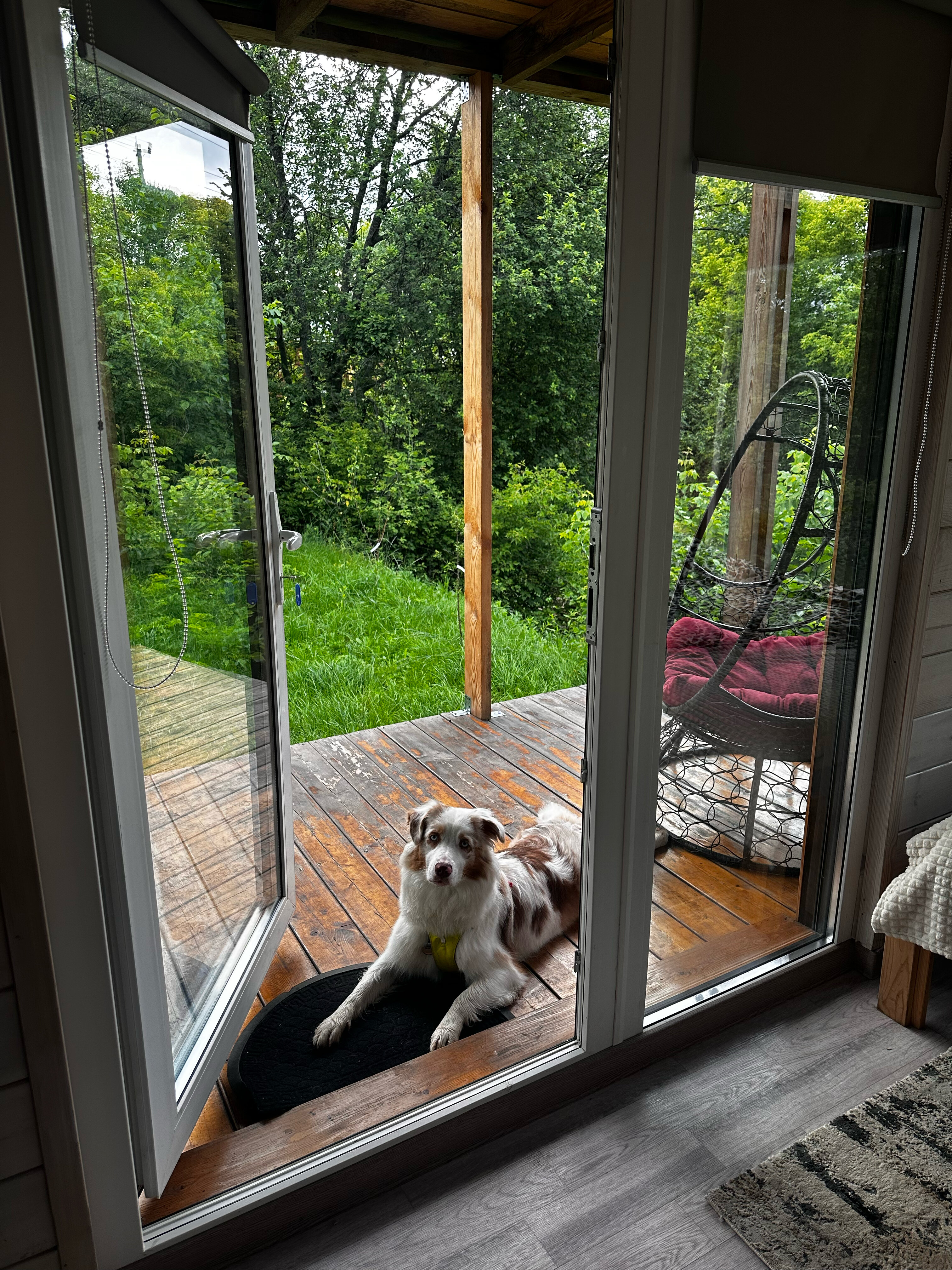 Фото Горыныч Хаус