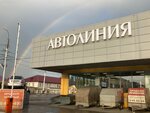 Avtoline (Michurinskaya Street, 48), auto parts and auto goods store
