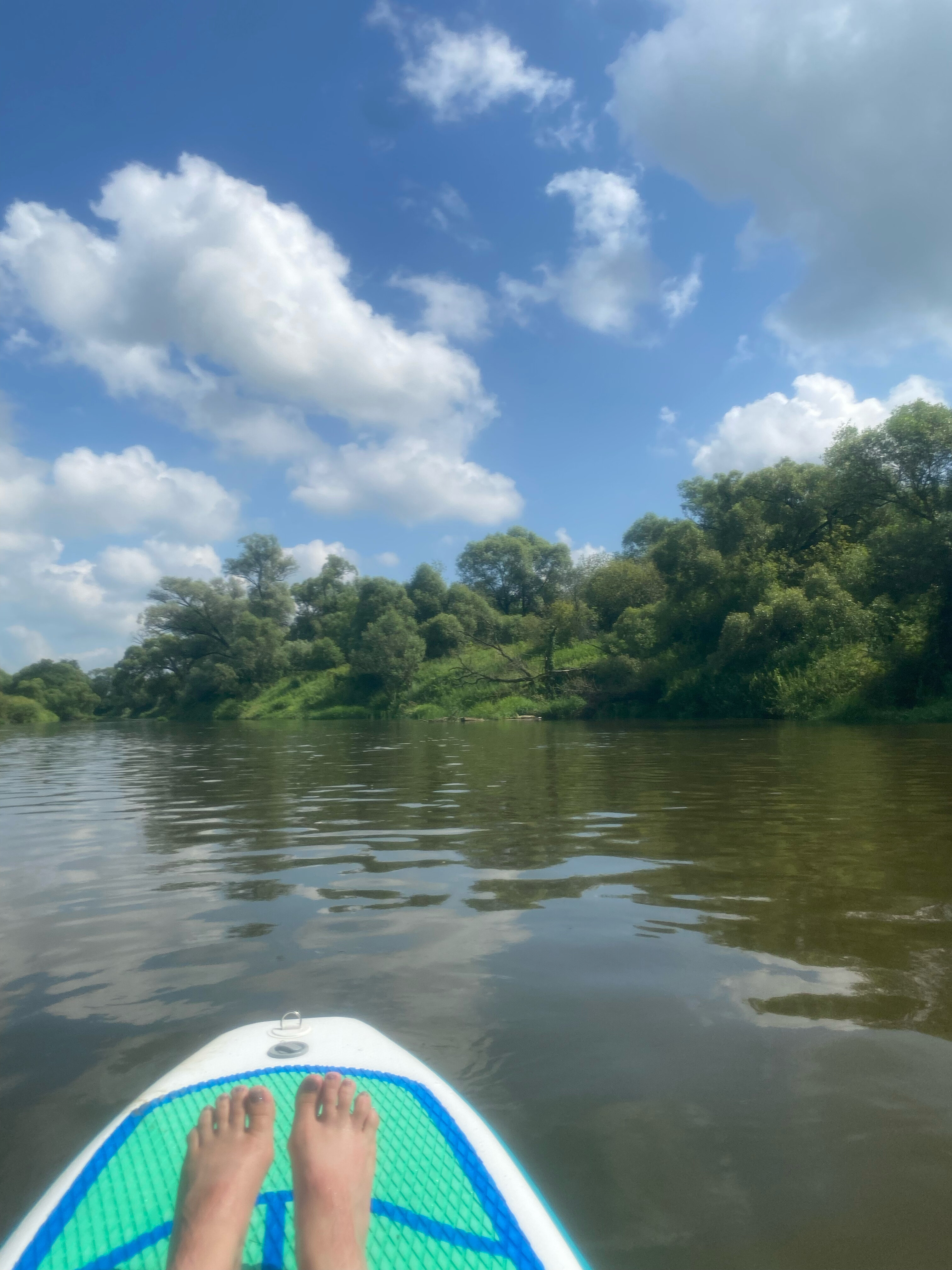 Фото Лисичкин холм