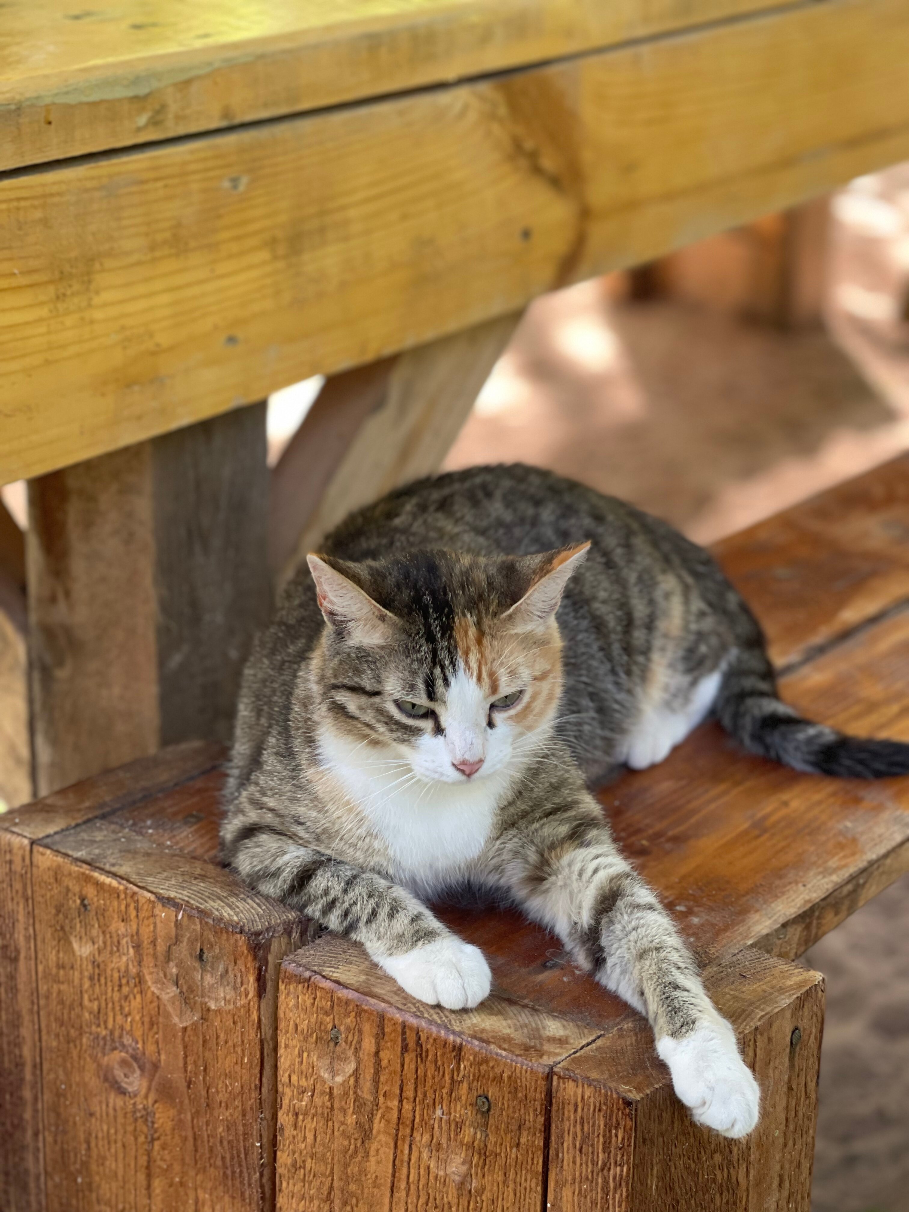 Фото Озеро Ле