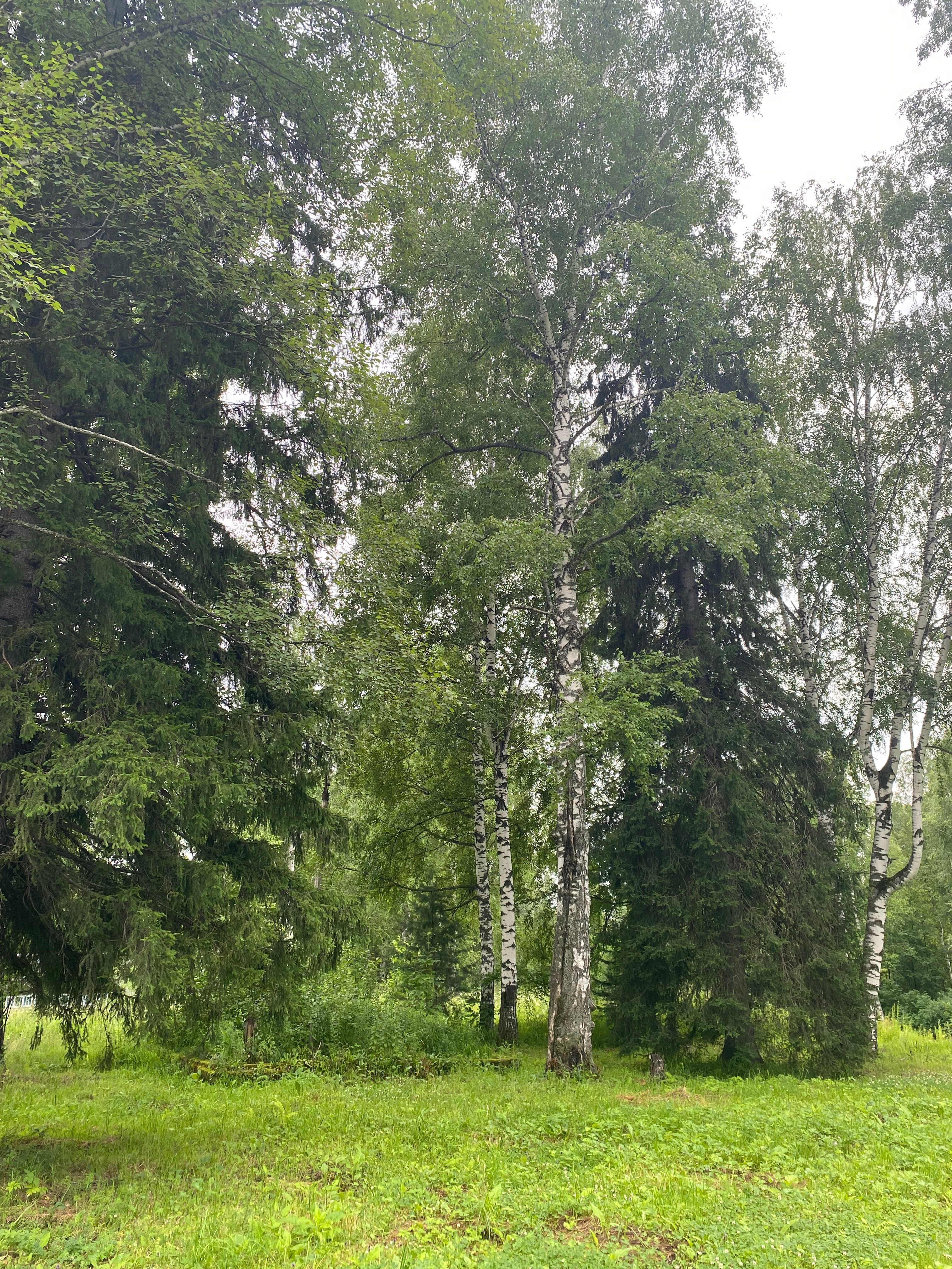 Фото Оздоровительный городок Дружба