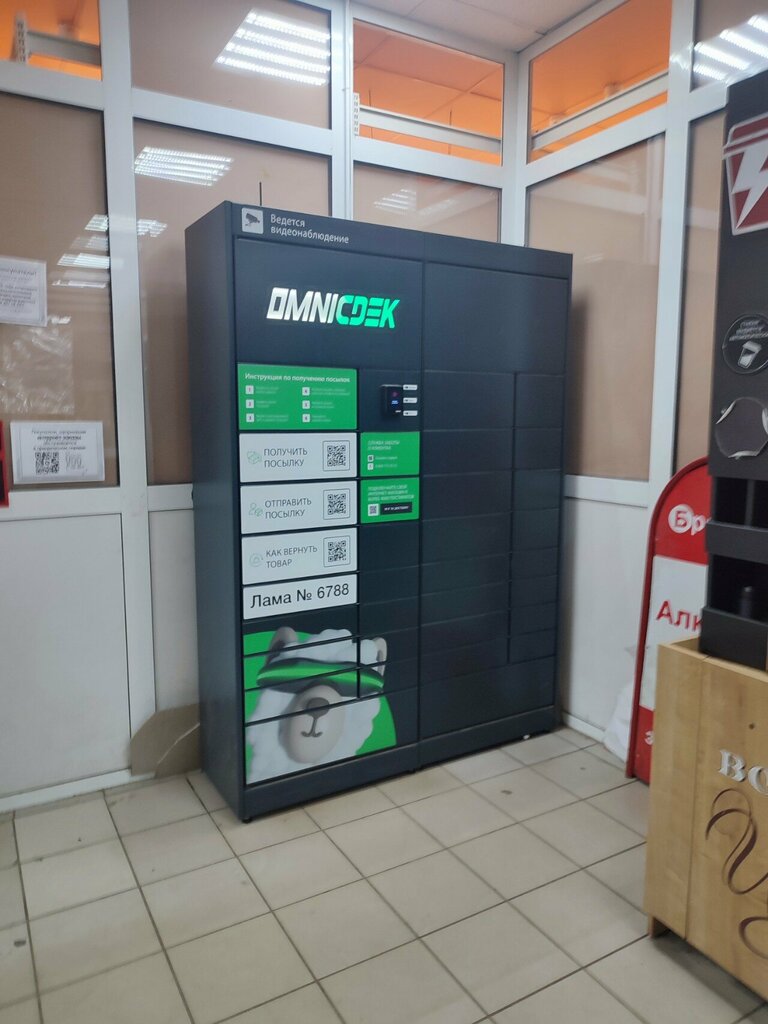 Parcel automat OmniCDEK, Nizhny Novgorod, photo