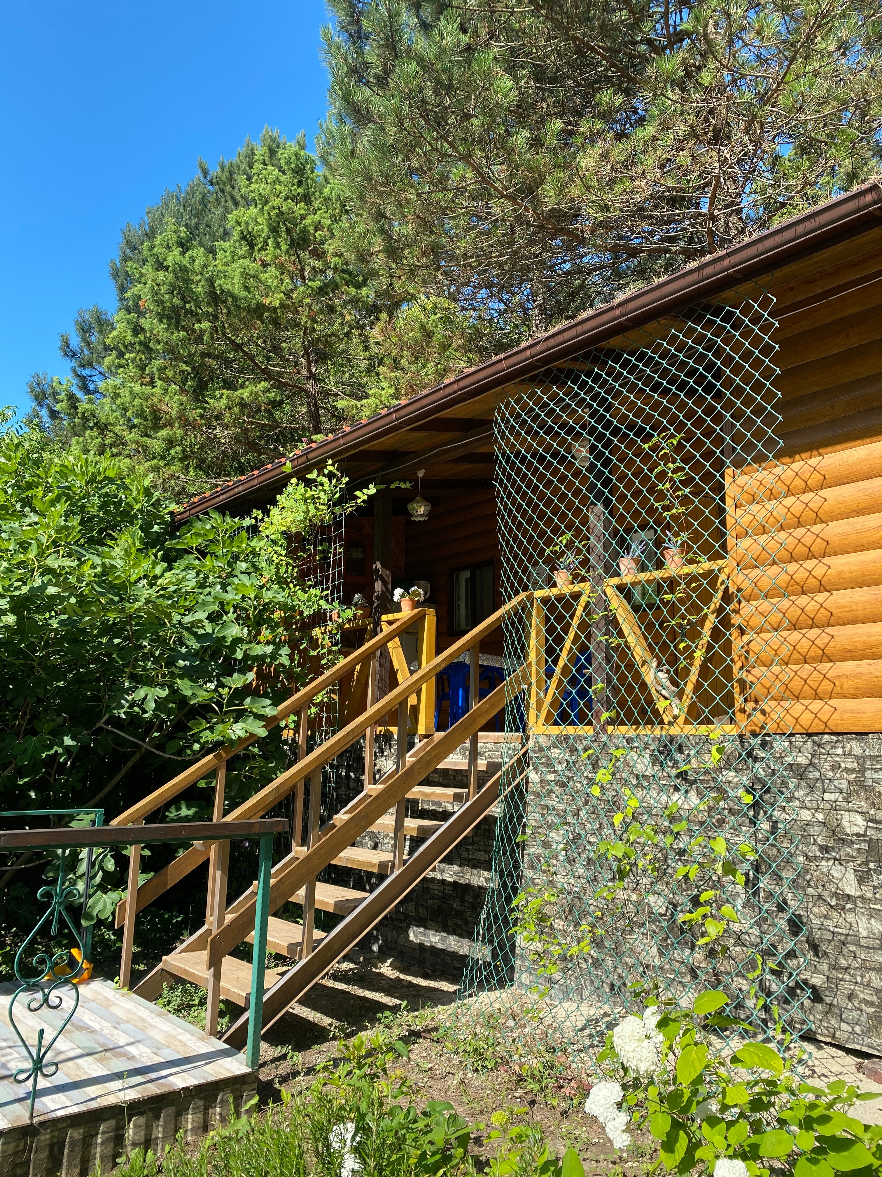 Фото Лесной домик Ель