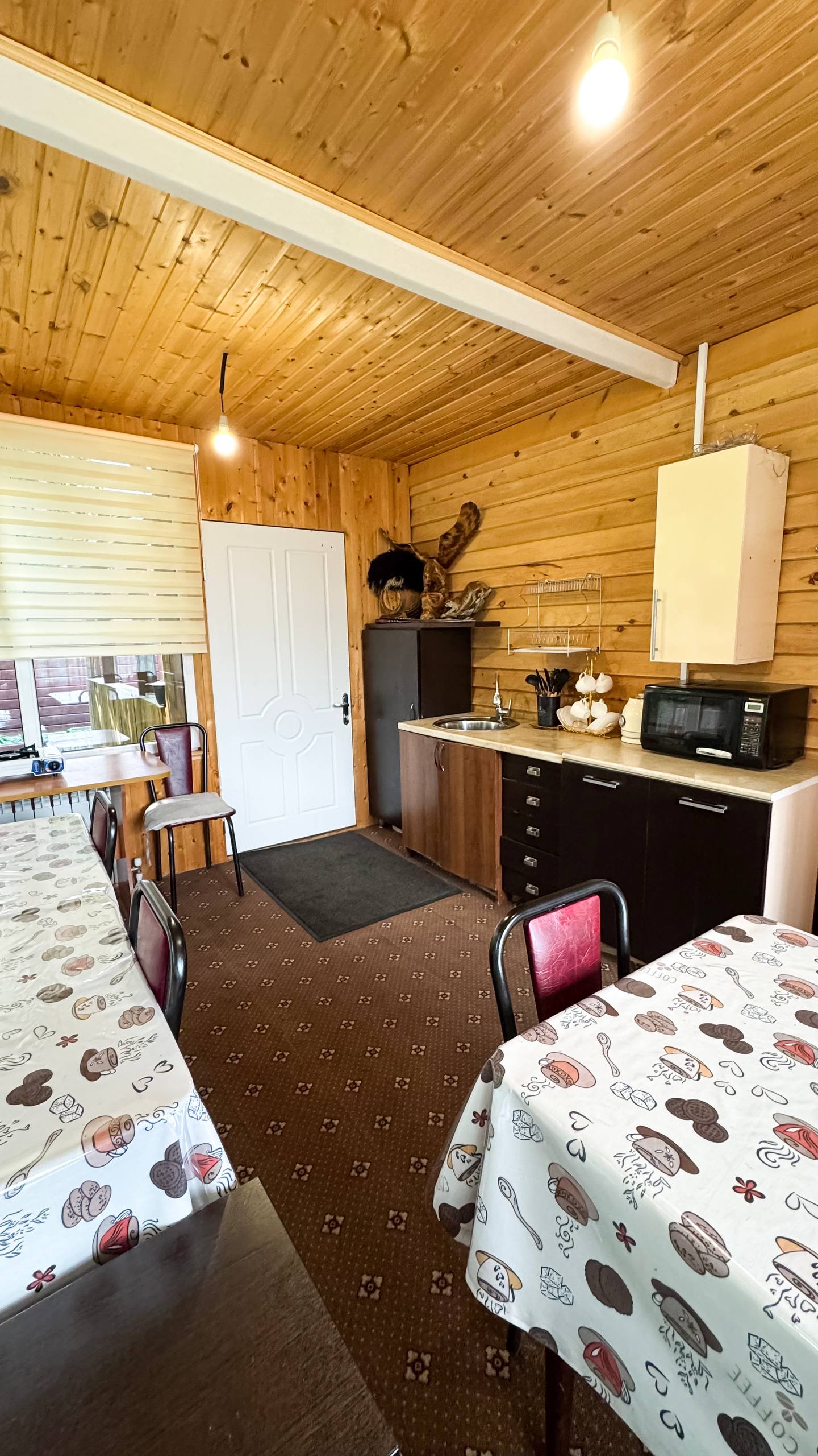 Фото Золотой Орёл