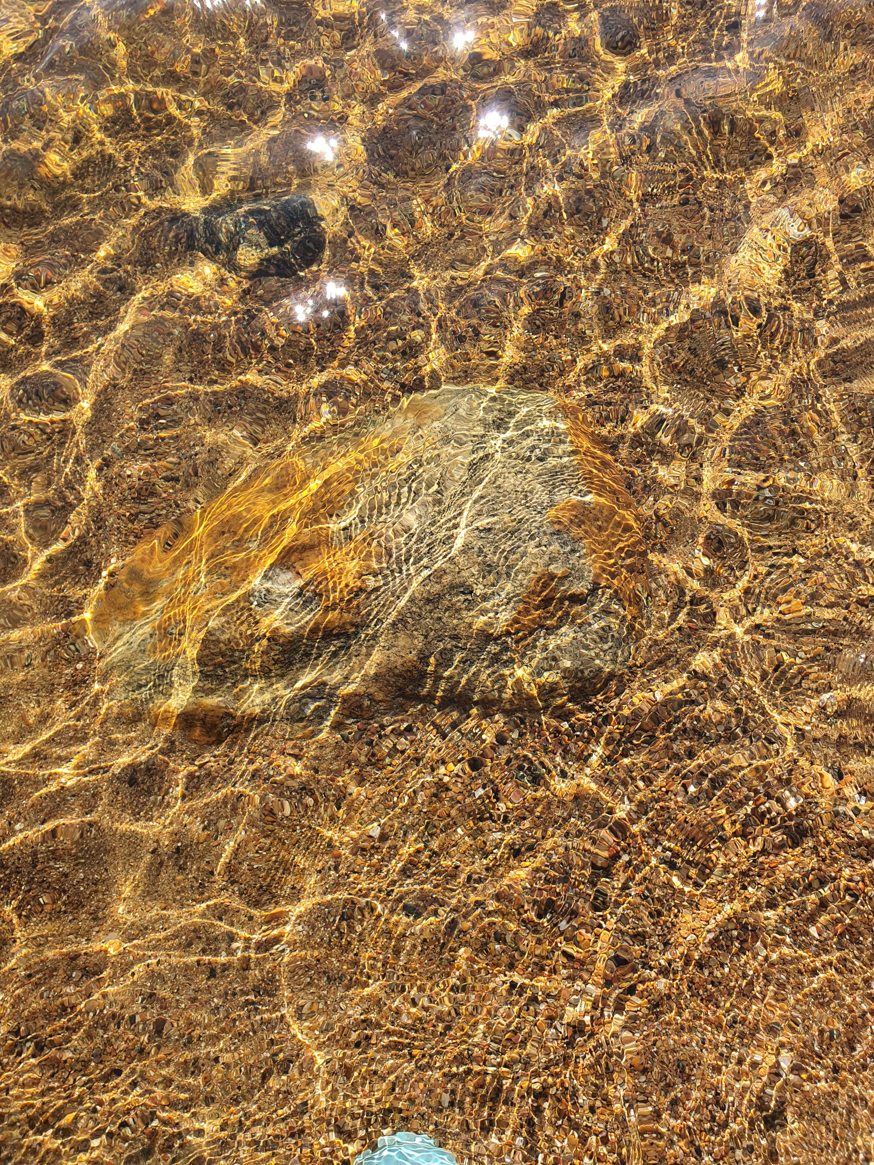 Фото Лось&Мох