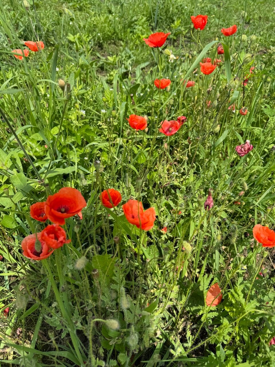 Фото Точка 177