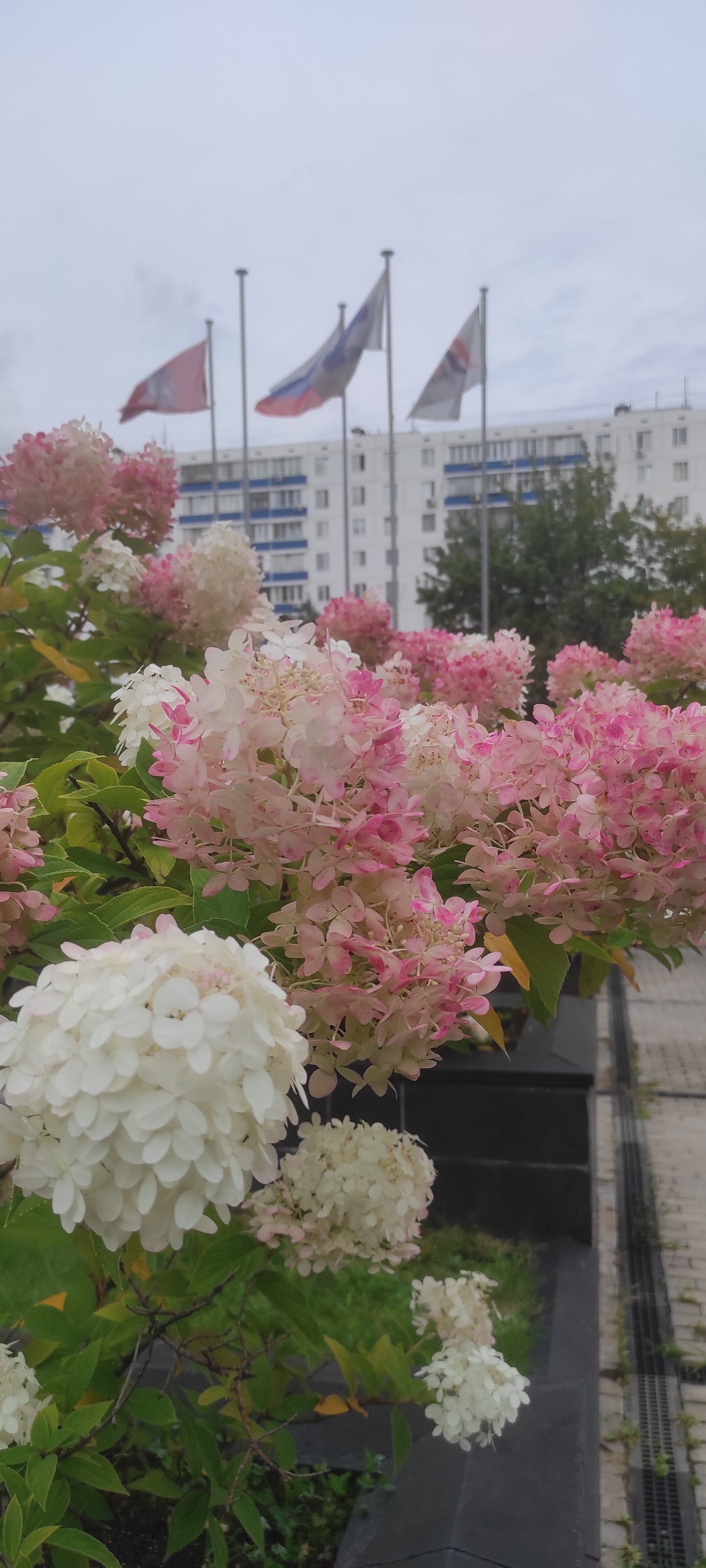 Фото Хэмптон бай Хилтон Москва Строгино