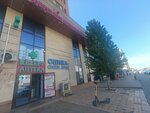 Falcon (Rakhimzhan Koshkarbayev Avenue, 37), opticial store