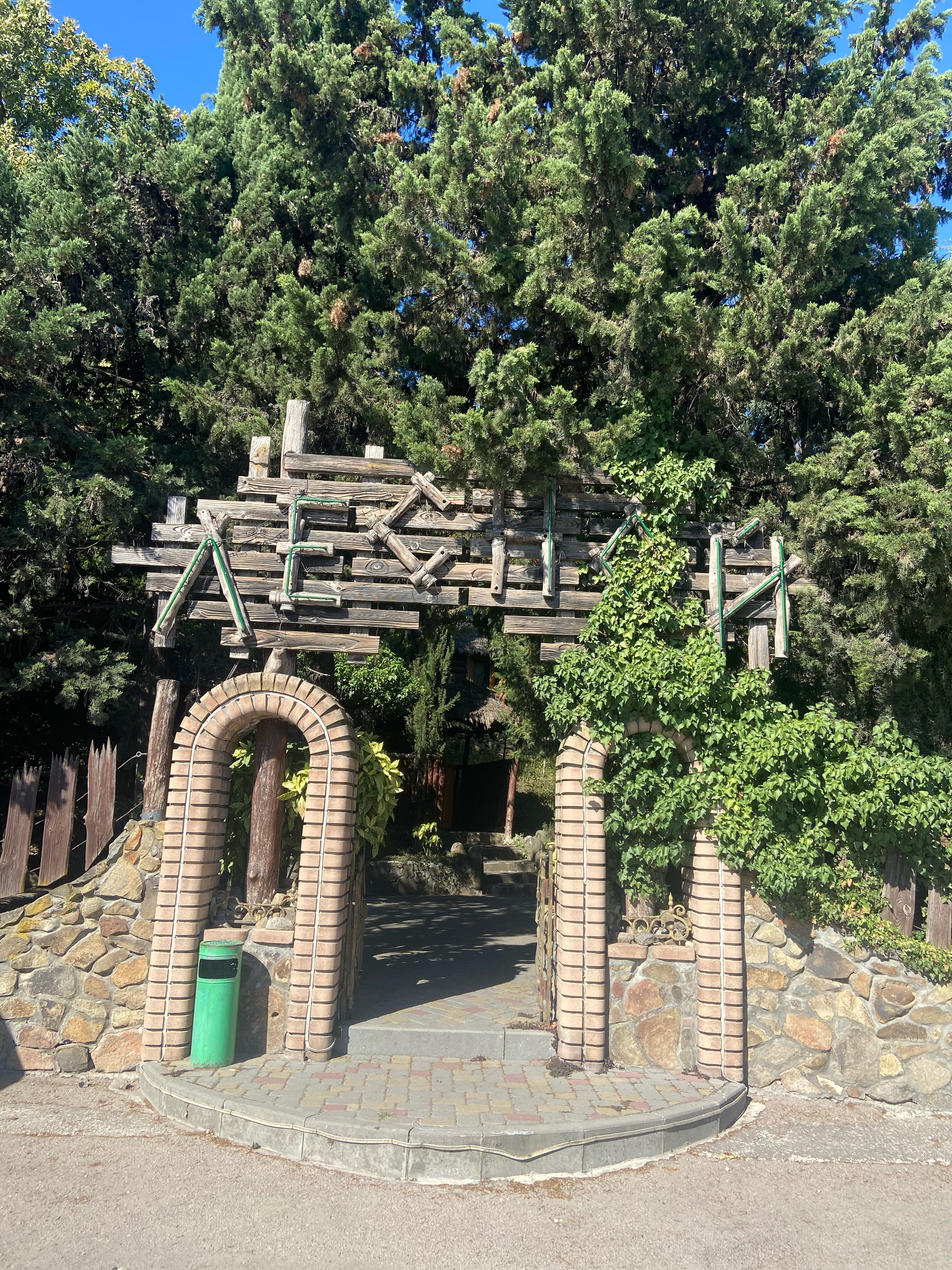 Фото Лесной