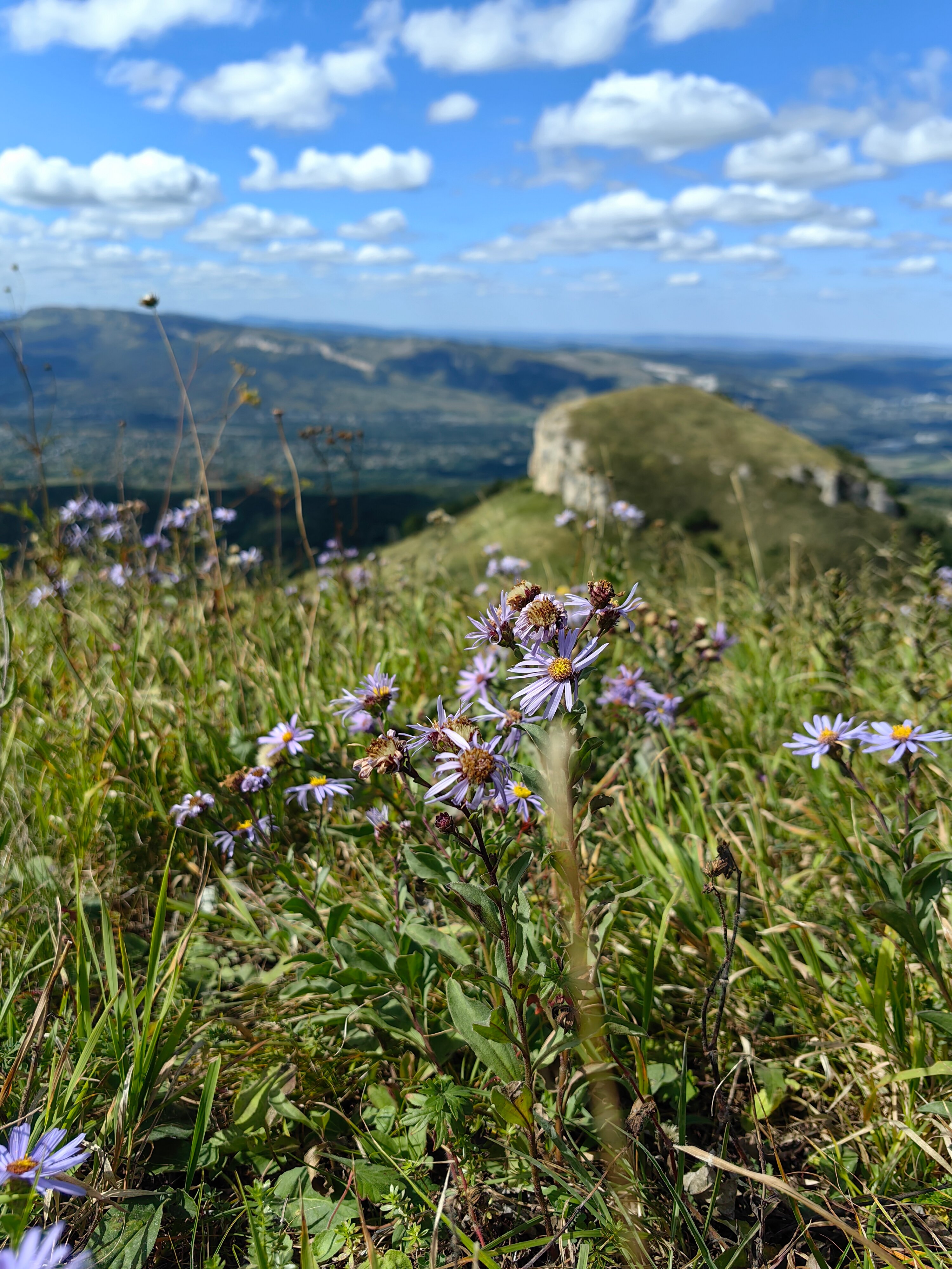 Фото Компас