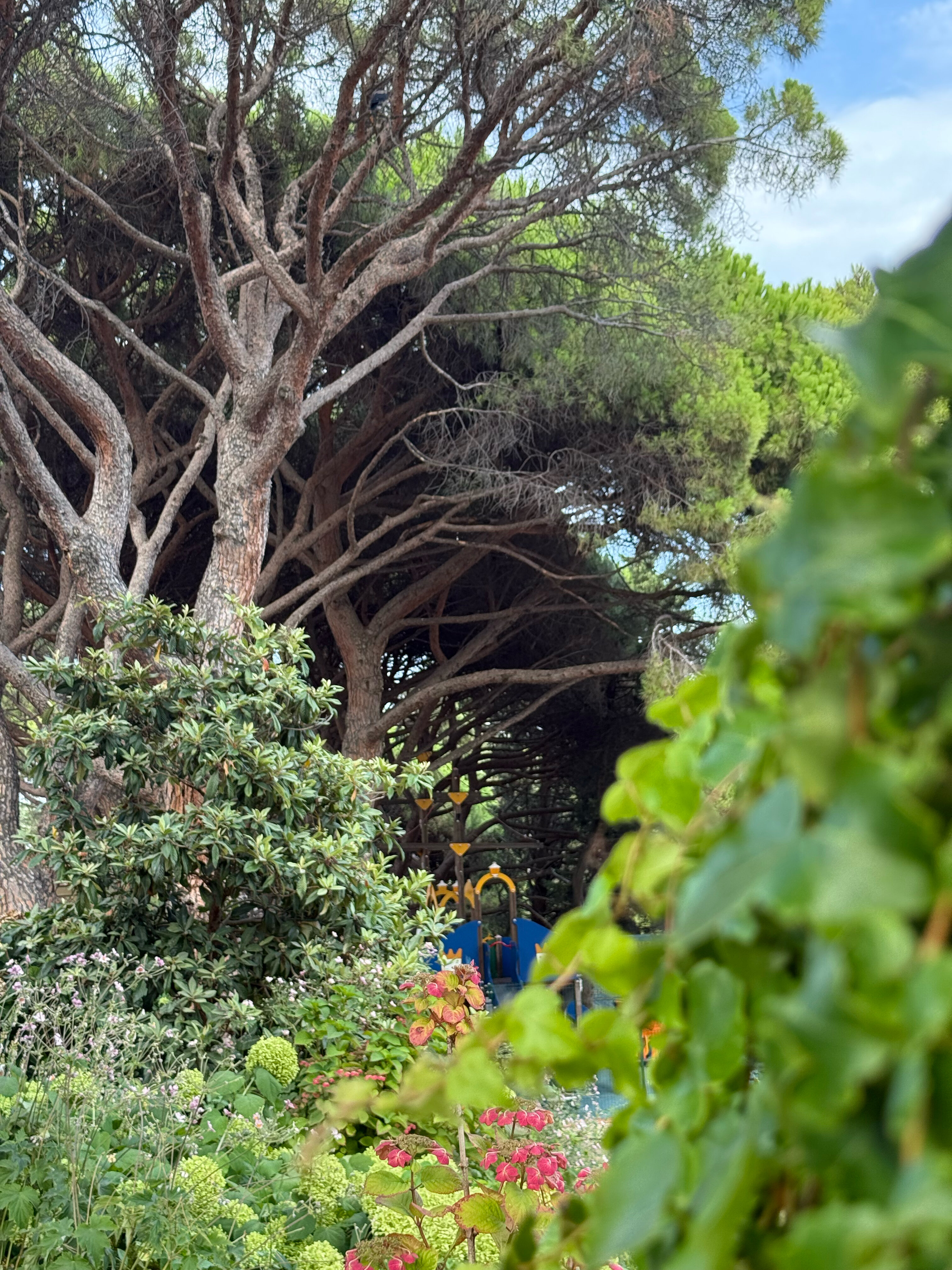 Фото Атлантида