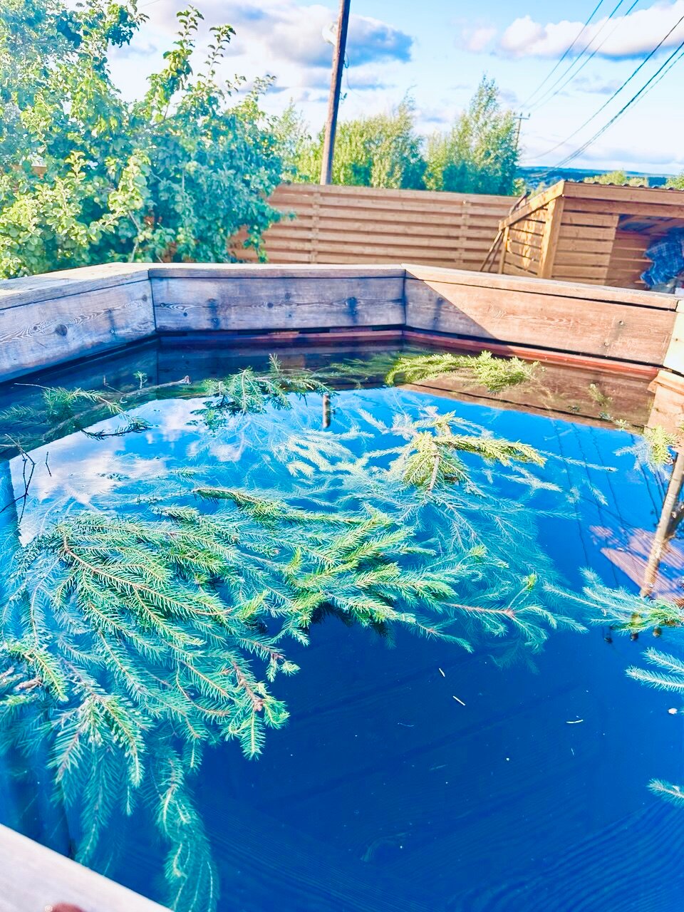 Фото На Холме