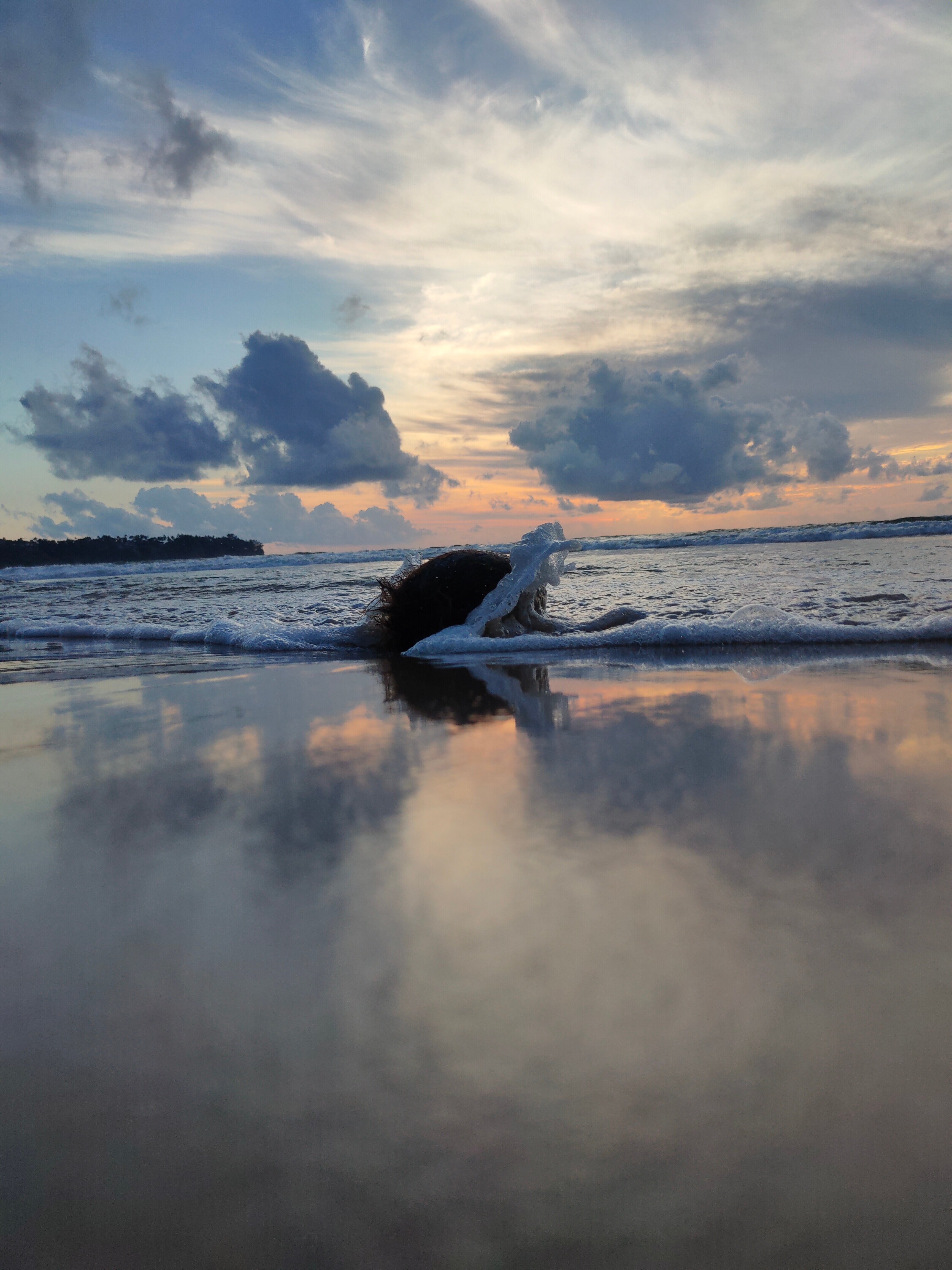Фото Amora Beach Resort Phuket