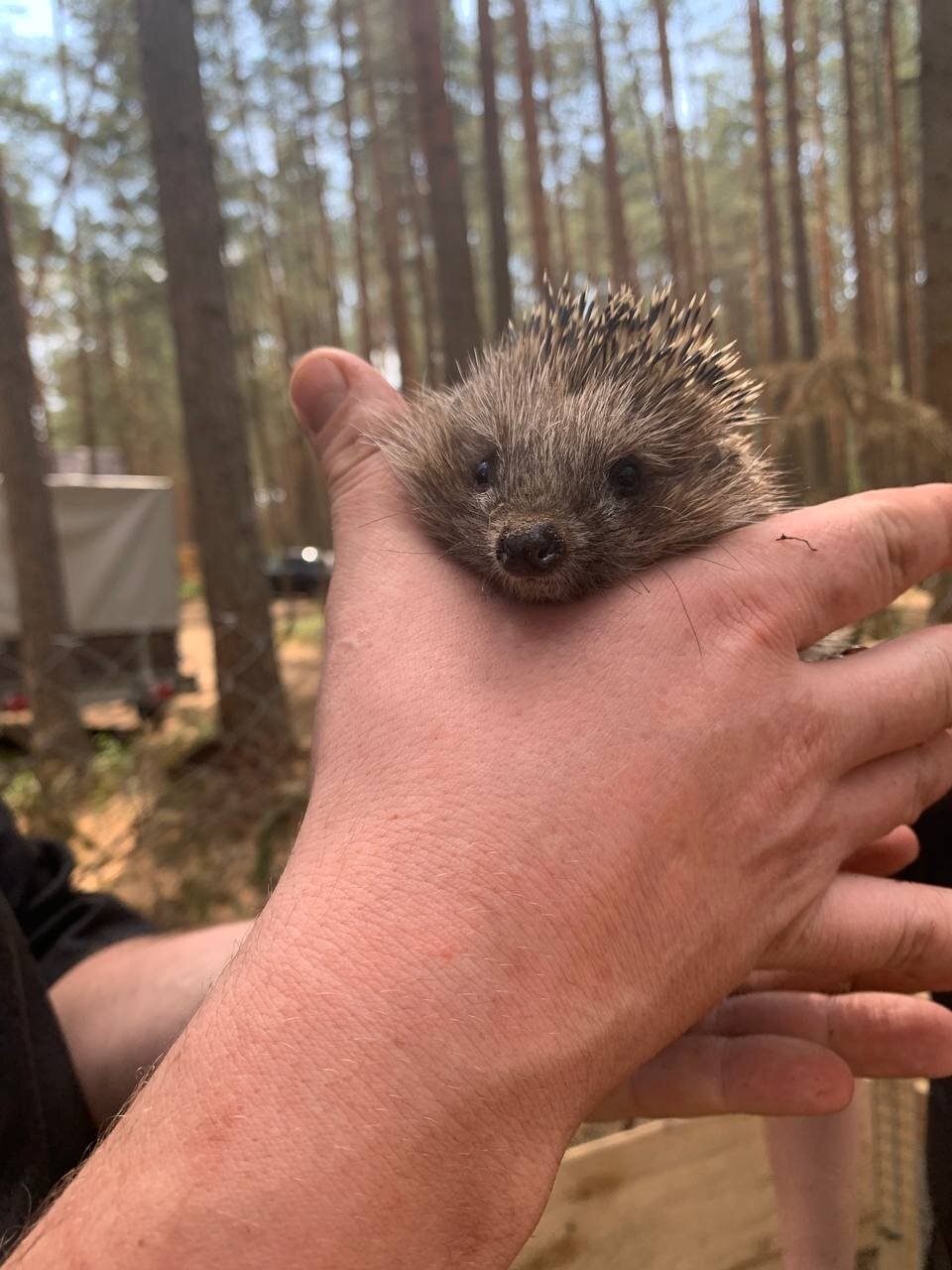 Фото Орша Ривер Клаб