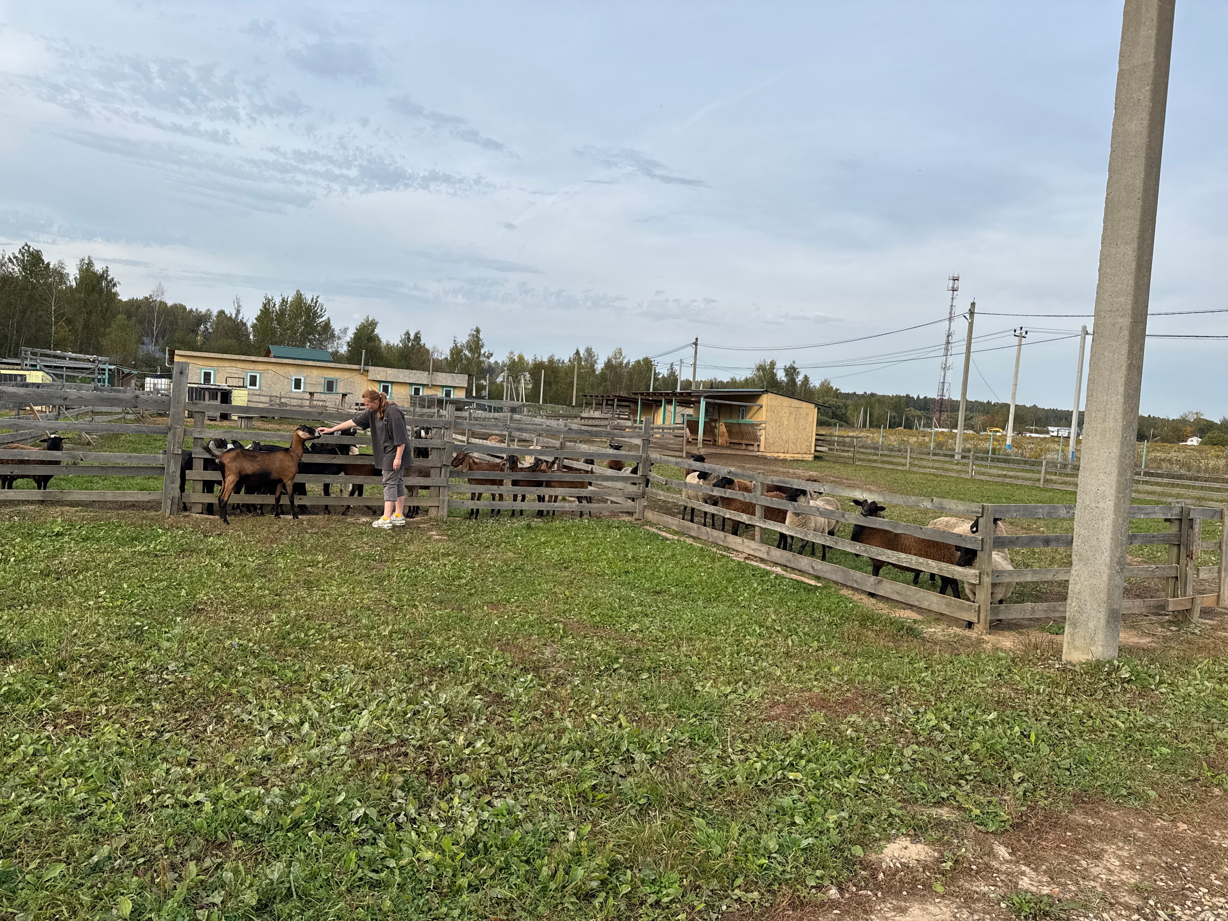 Фото Семейная экоферма