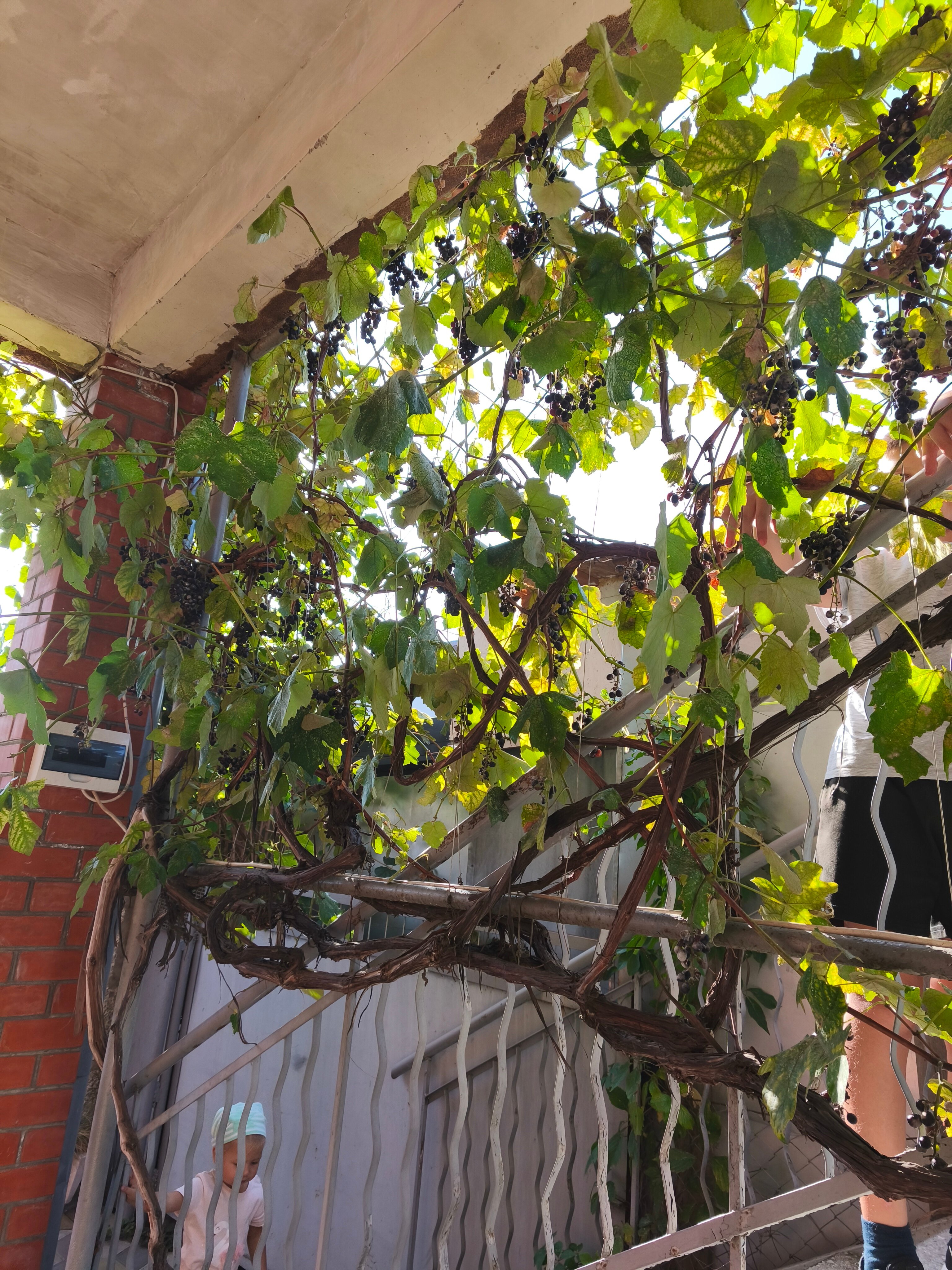 Фото Белый песок