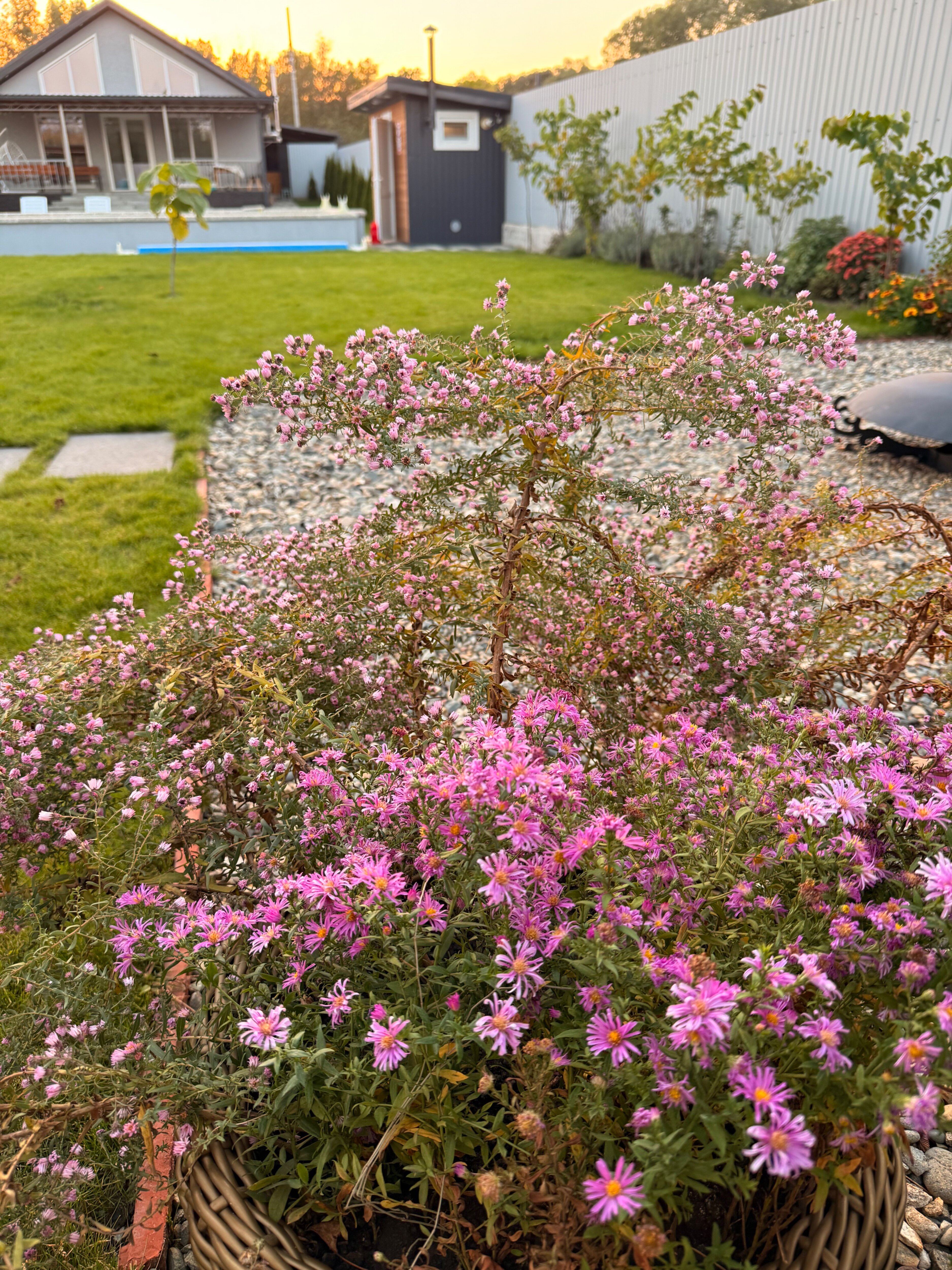 Фото Дом Прованс