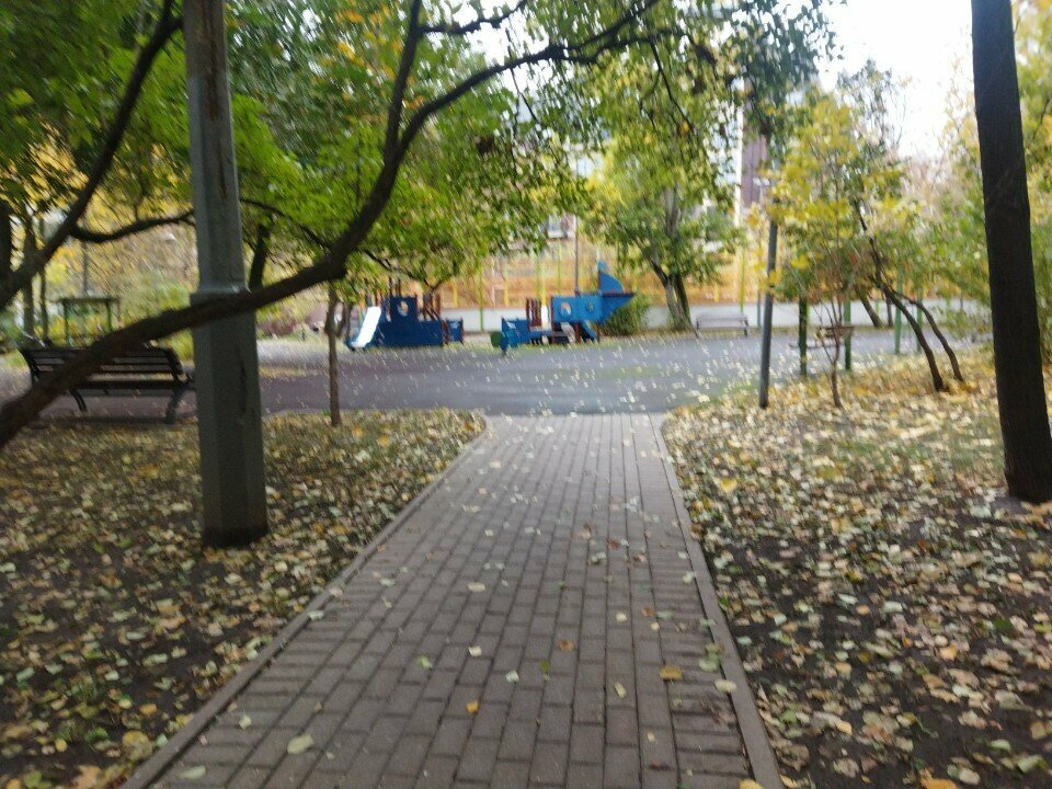 Playground Playground, Moscow, photo