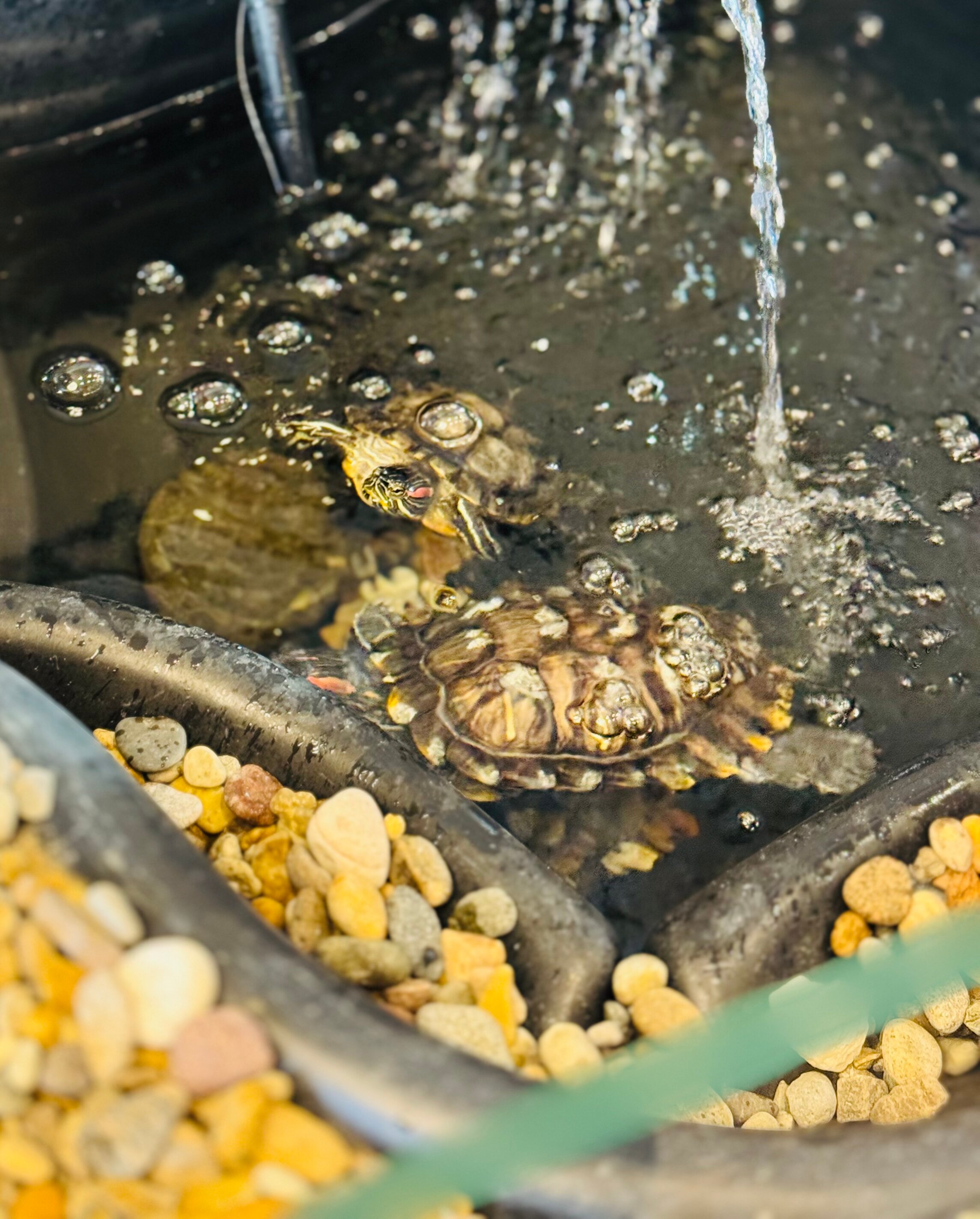 Фото Байкал-Аляска