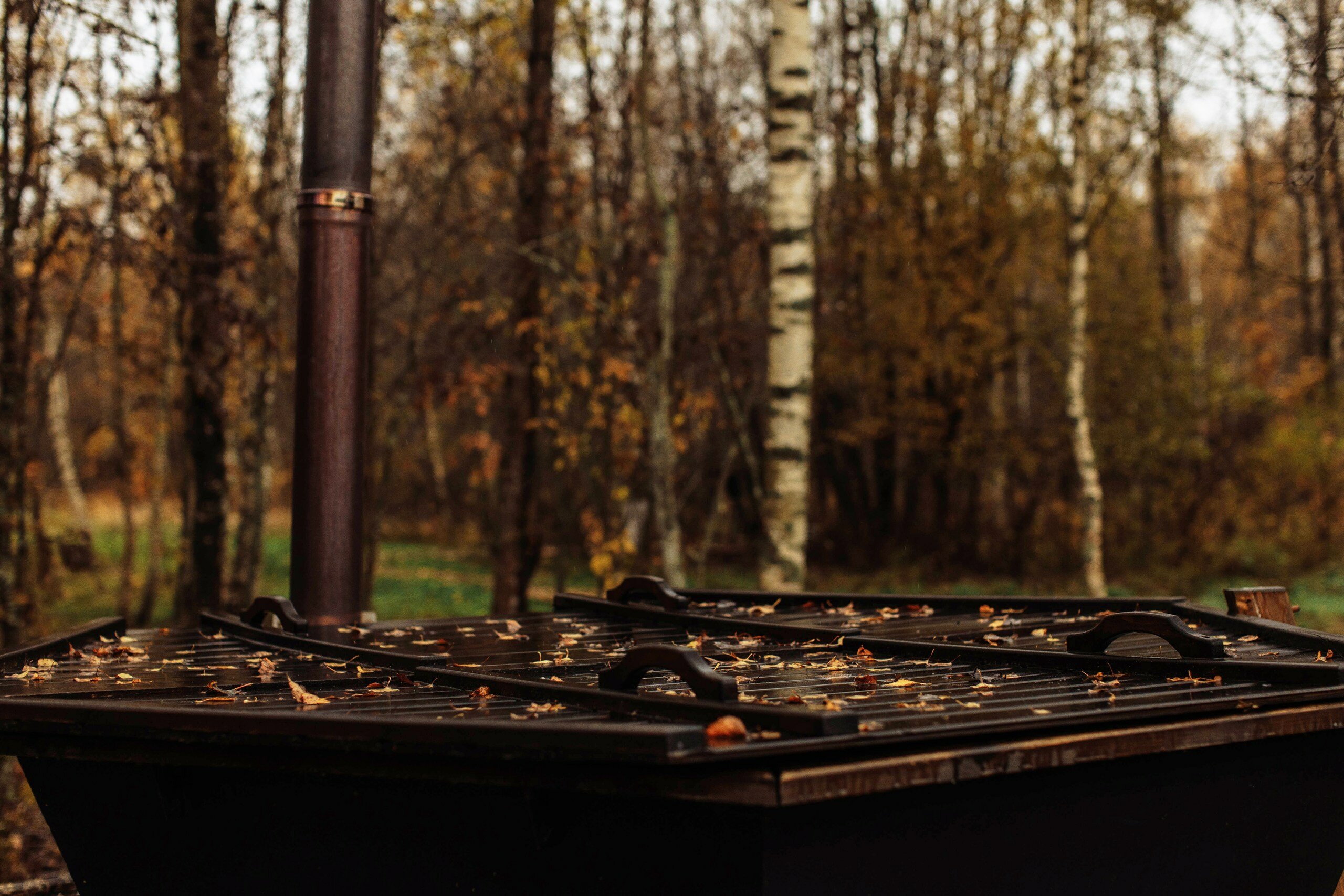 Фото Усадьба Кожиных