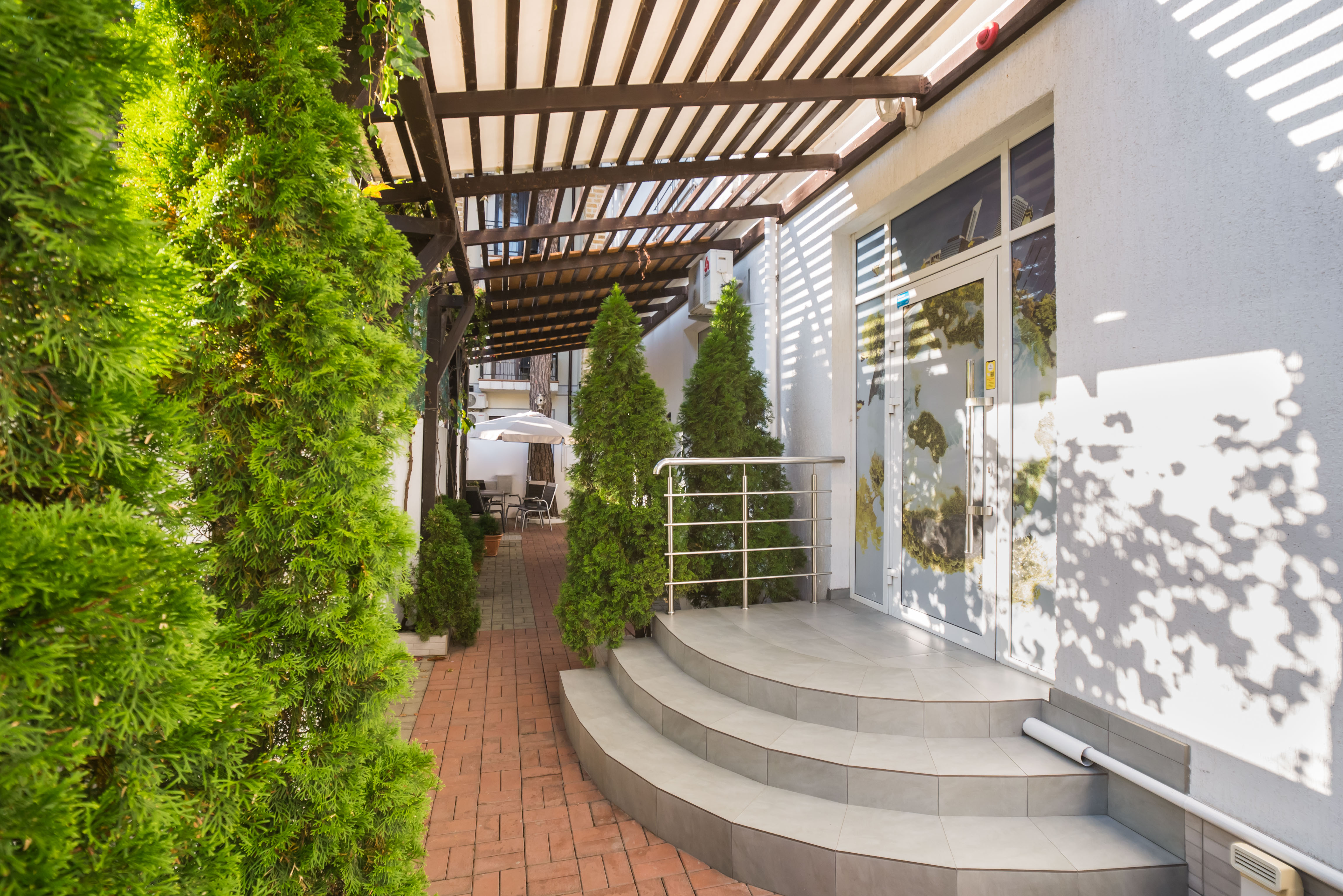 Фото Абрикос Плюс