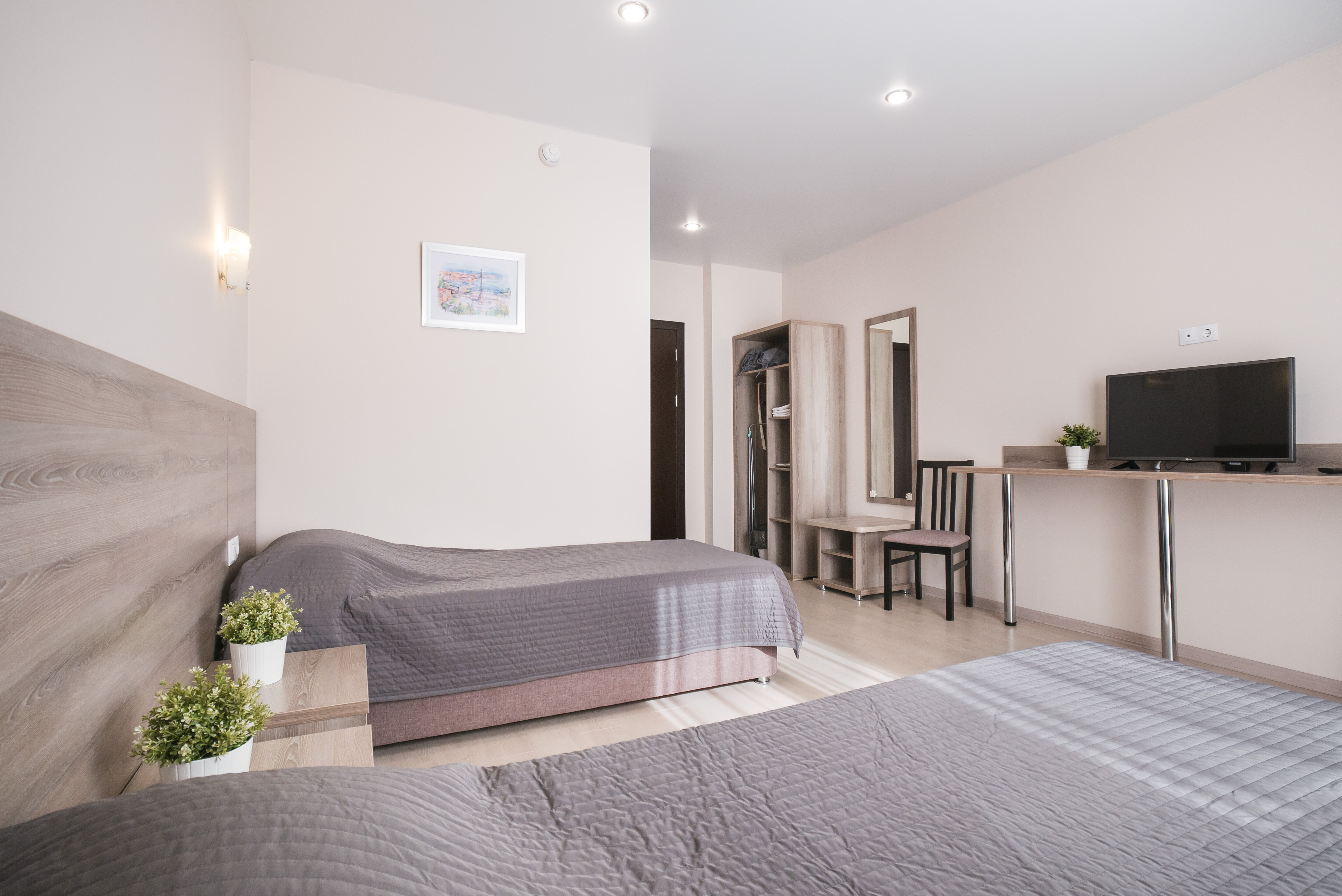 Фото Абрикос Плюс