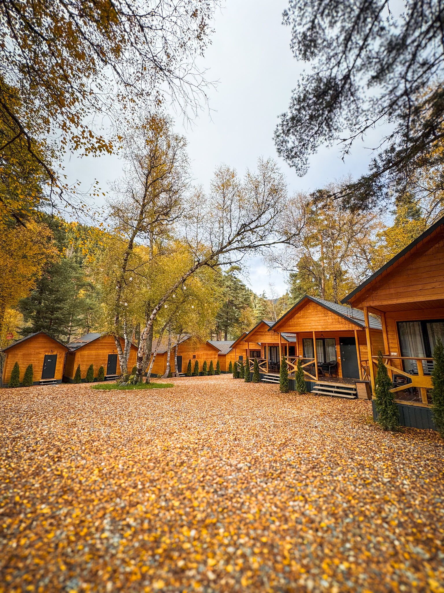 Фото Шале Хвоя