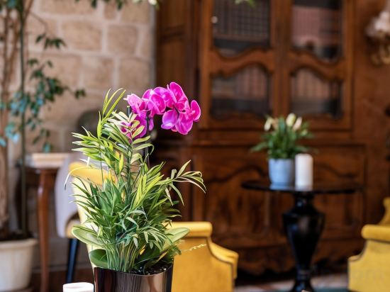 Фото Hotel Minerve