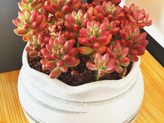 Фото Beijing Zimei Hotel