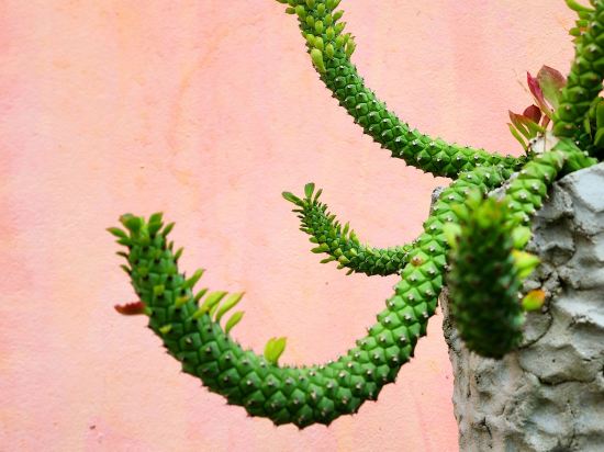 Фото Ingpha Room for rent