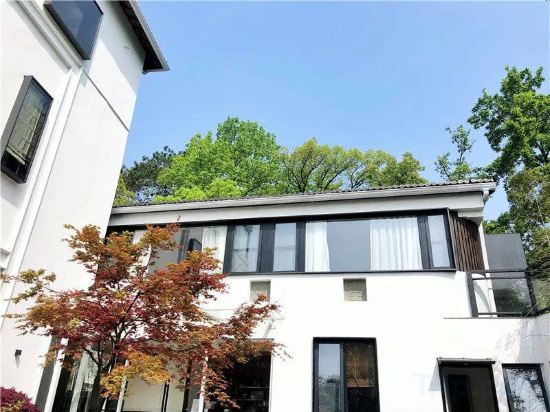 Фото Green Sleeves