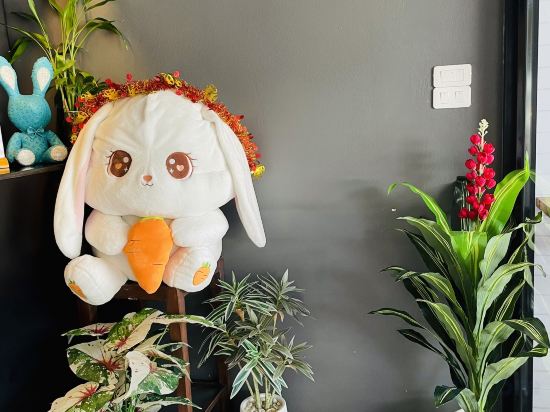 Фото Rabbitel Phuket