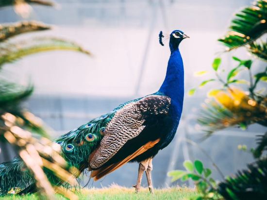 Фото Dongguan Mcb Lake Hotel