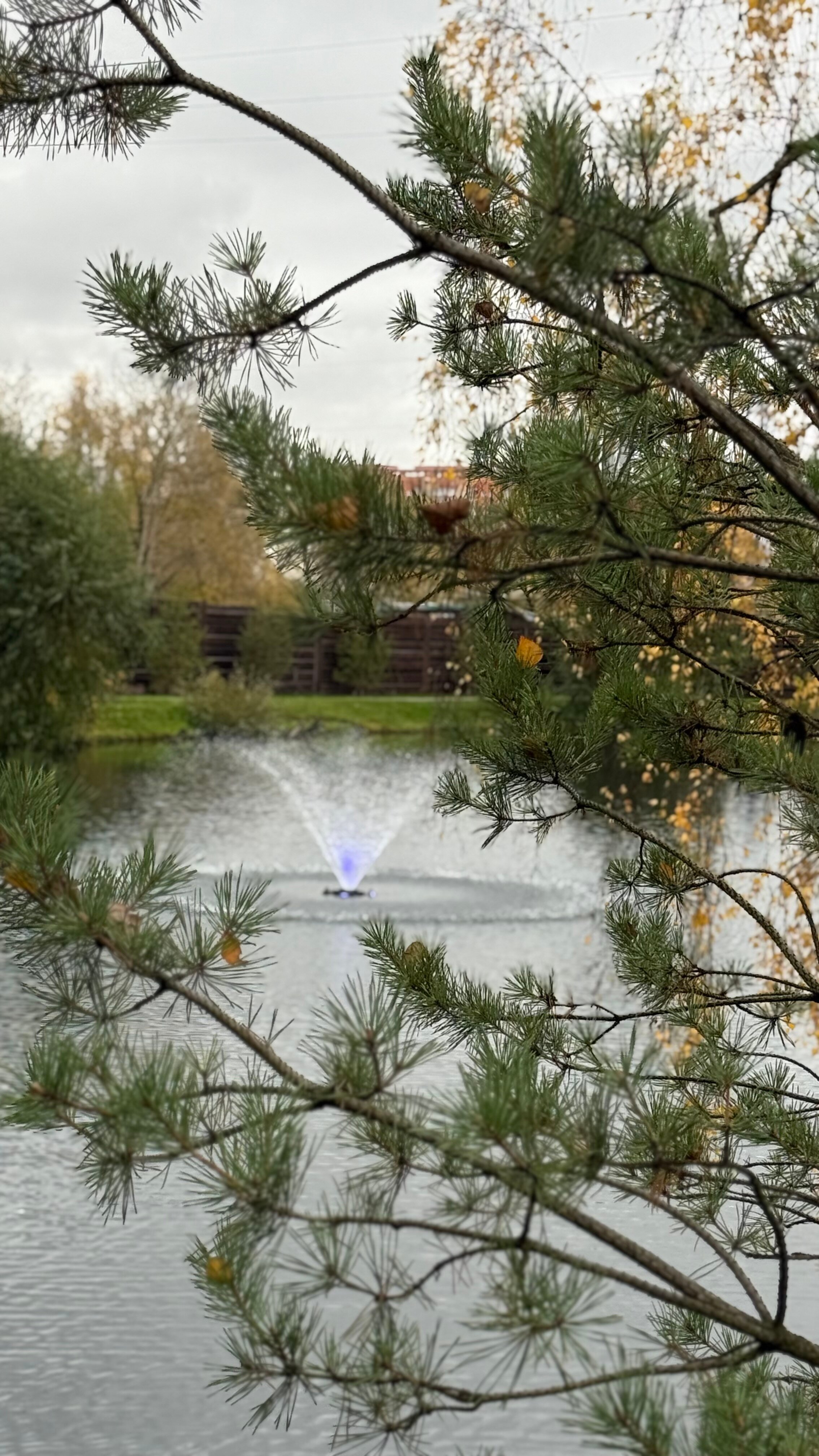 Фото Теплица парк