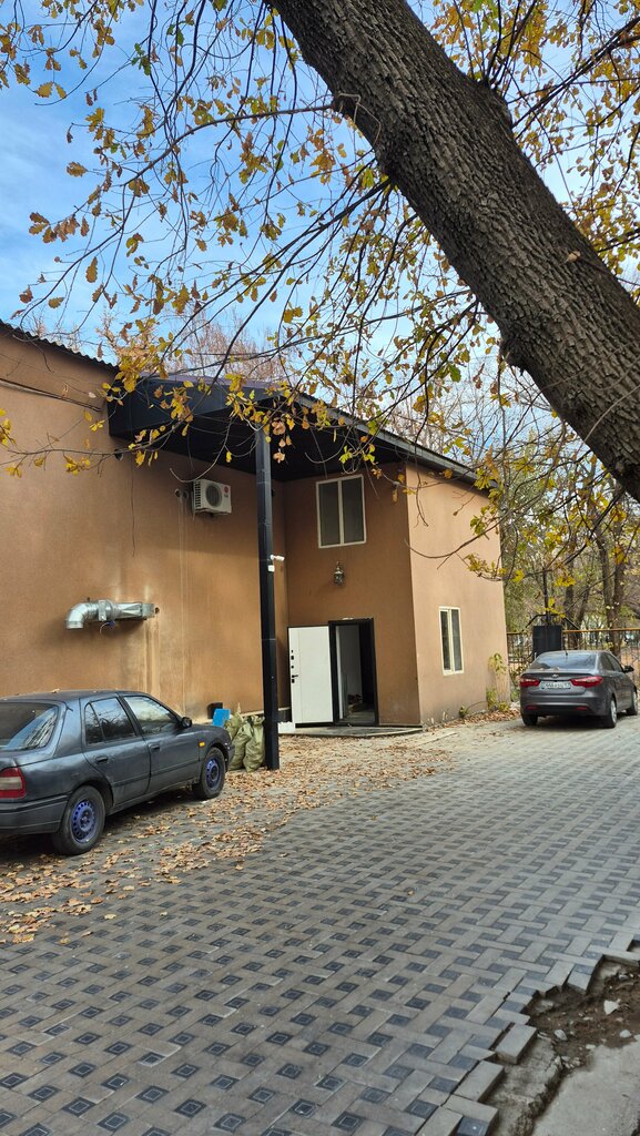 IT company Mi Jurek Jane Jan, Chimkent, photo